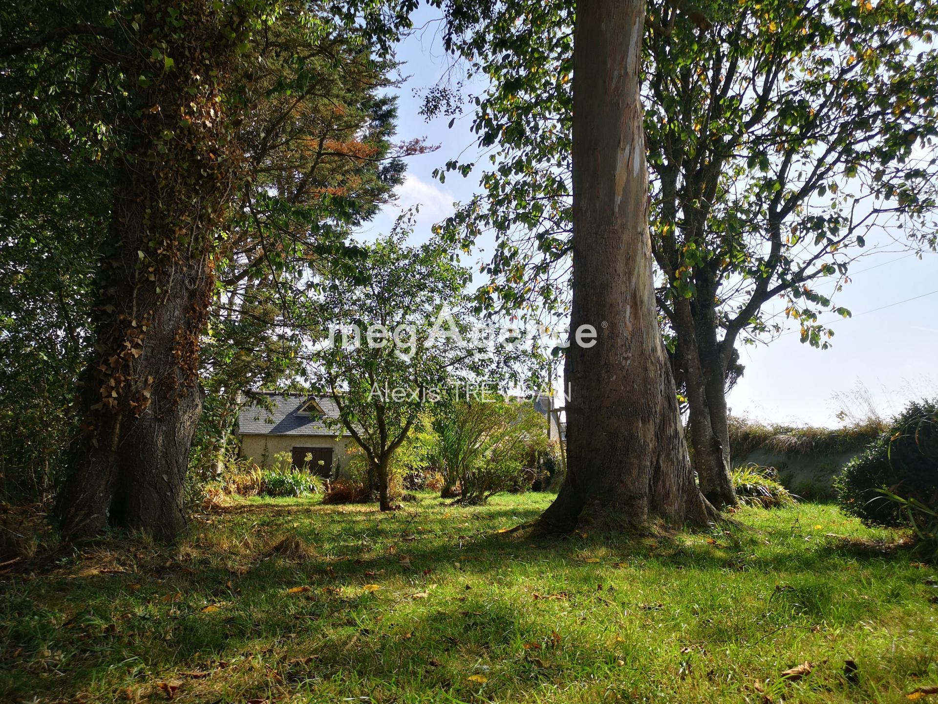 Miniature photo - 5 / 13