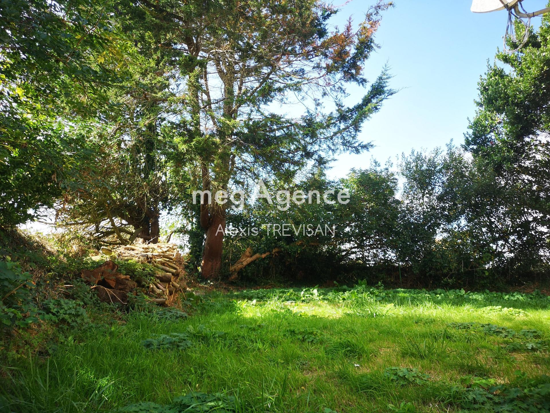 Miniature photo - 6 / 13