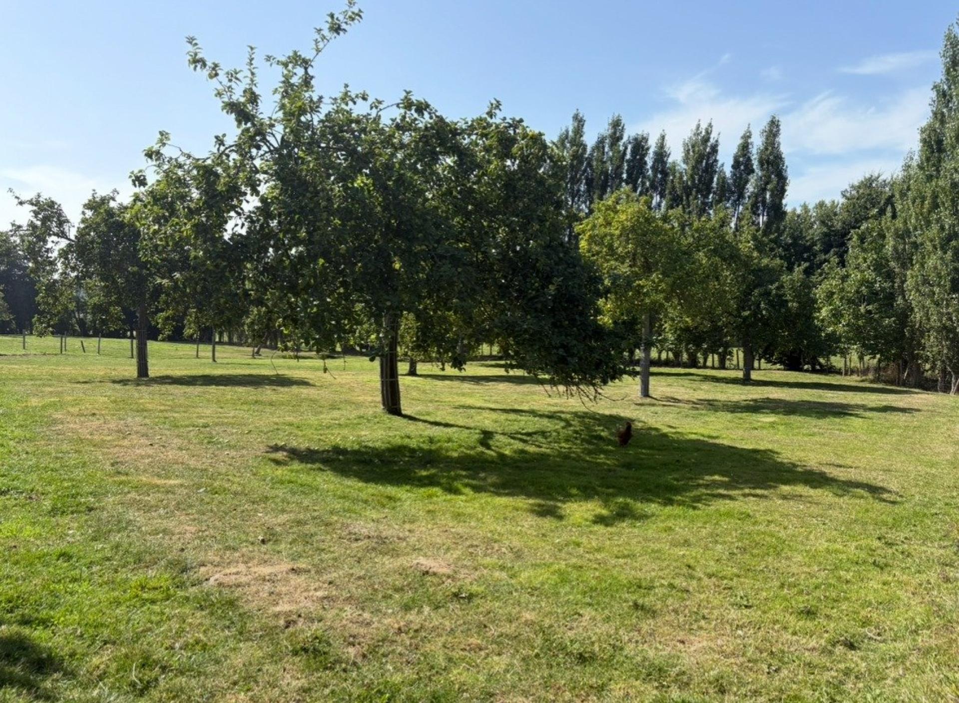 Miniature photo - 2 / 3