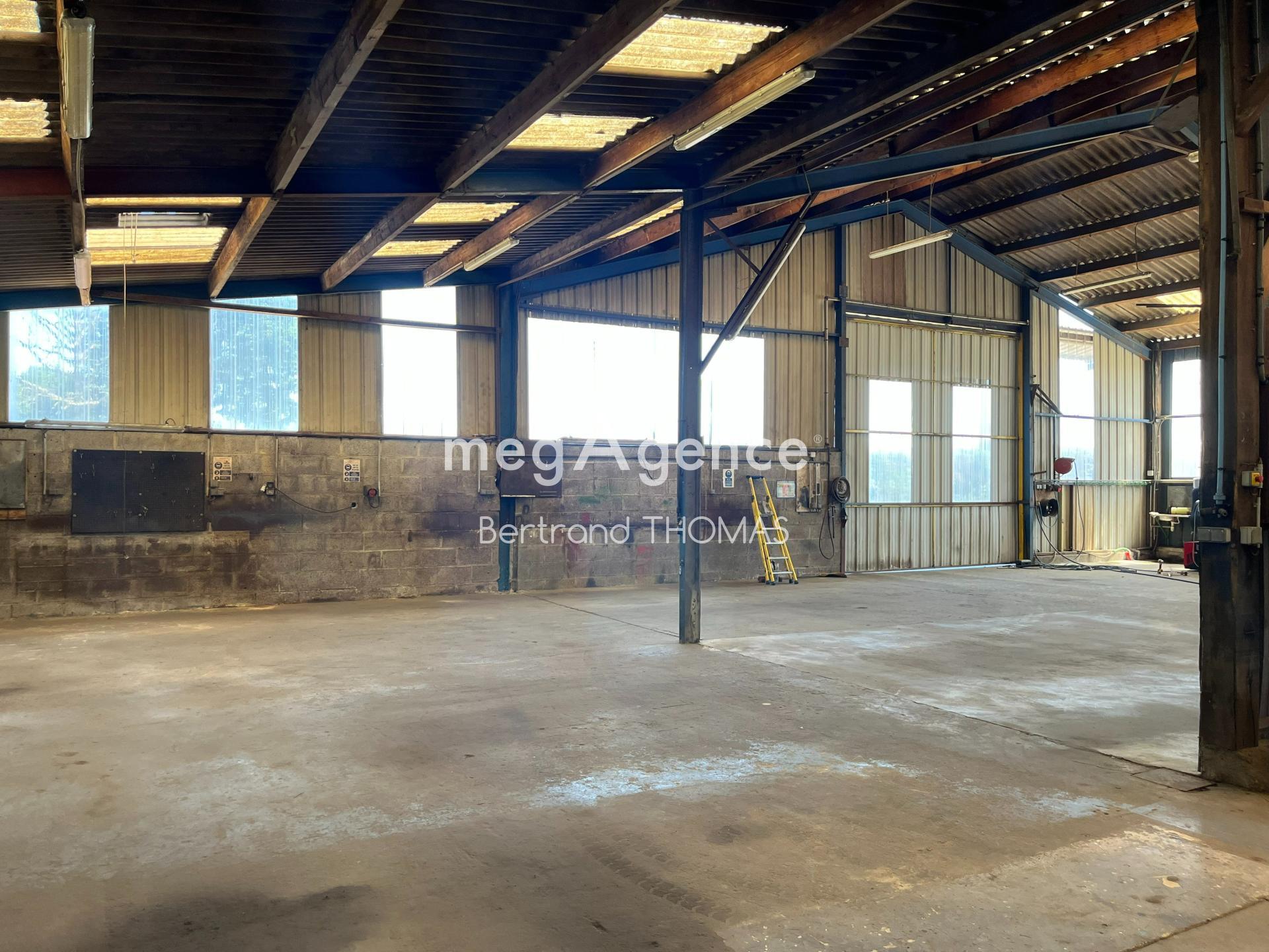 Miniature photo - 10 / 15