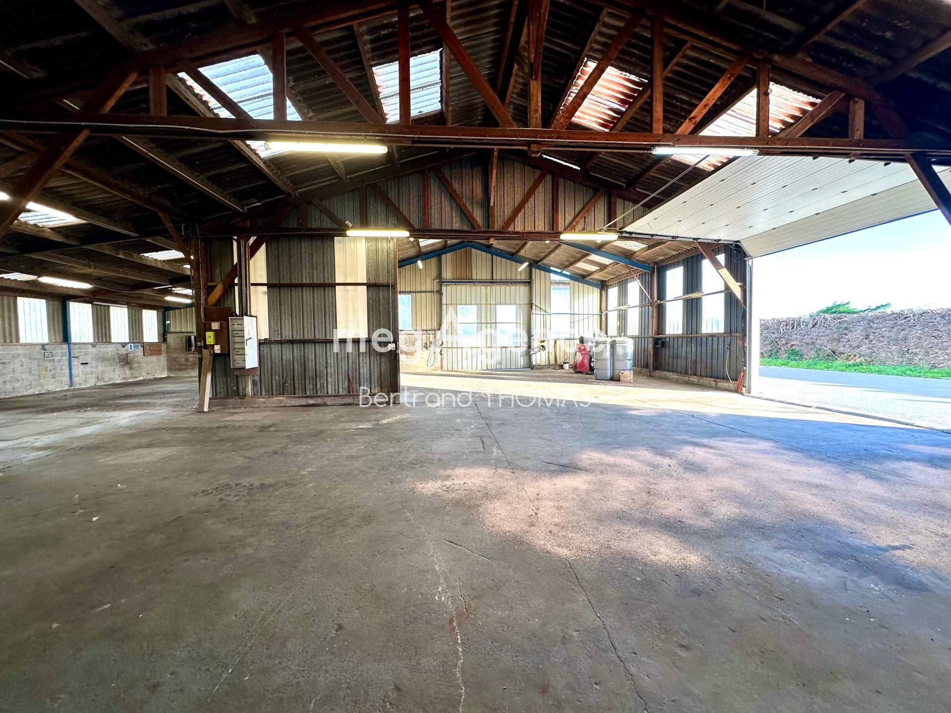 Miniature photo - 3 / 15