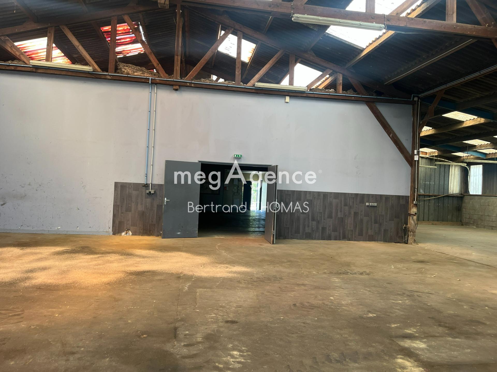 Miniature photo - 11 / 15