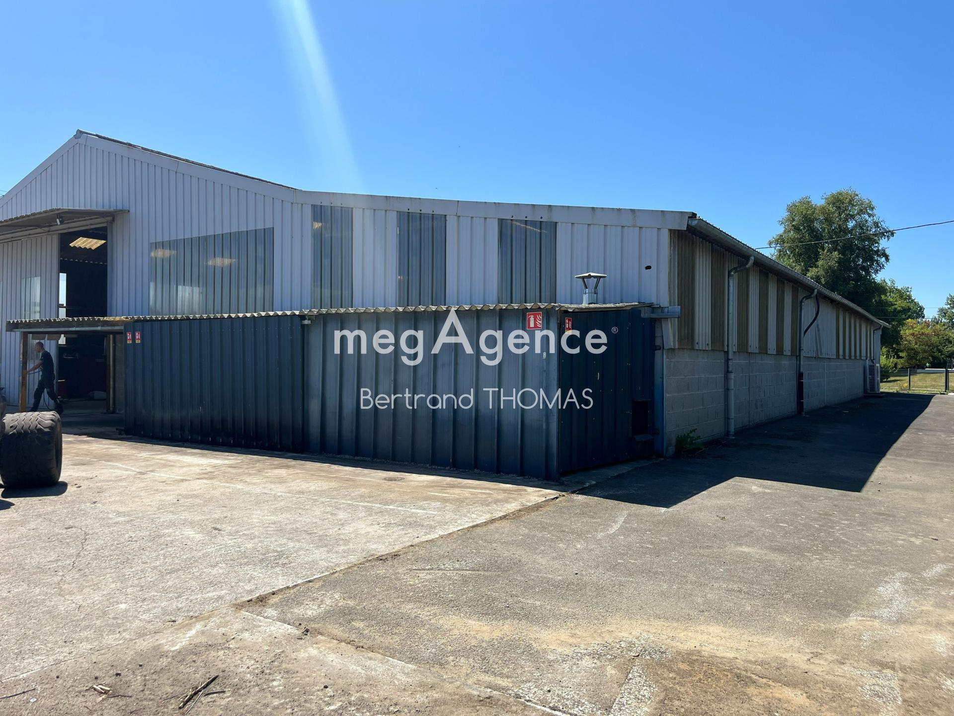 Miniature photo - 5 / 15