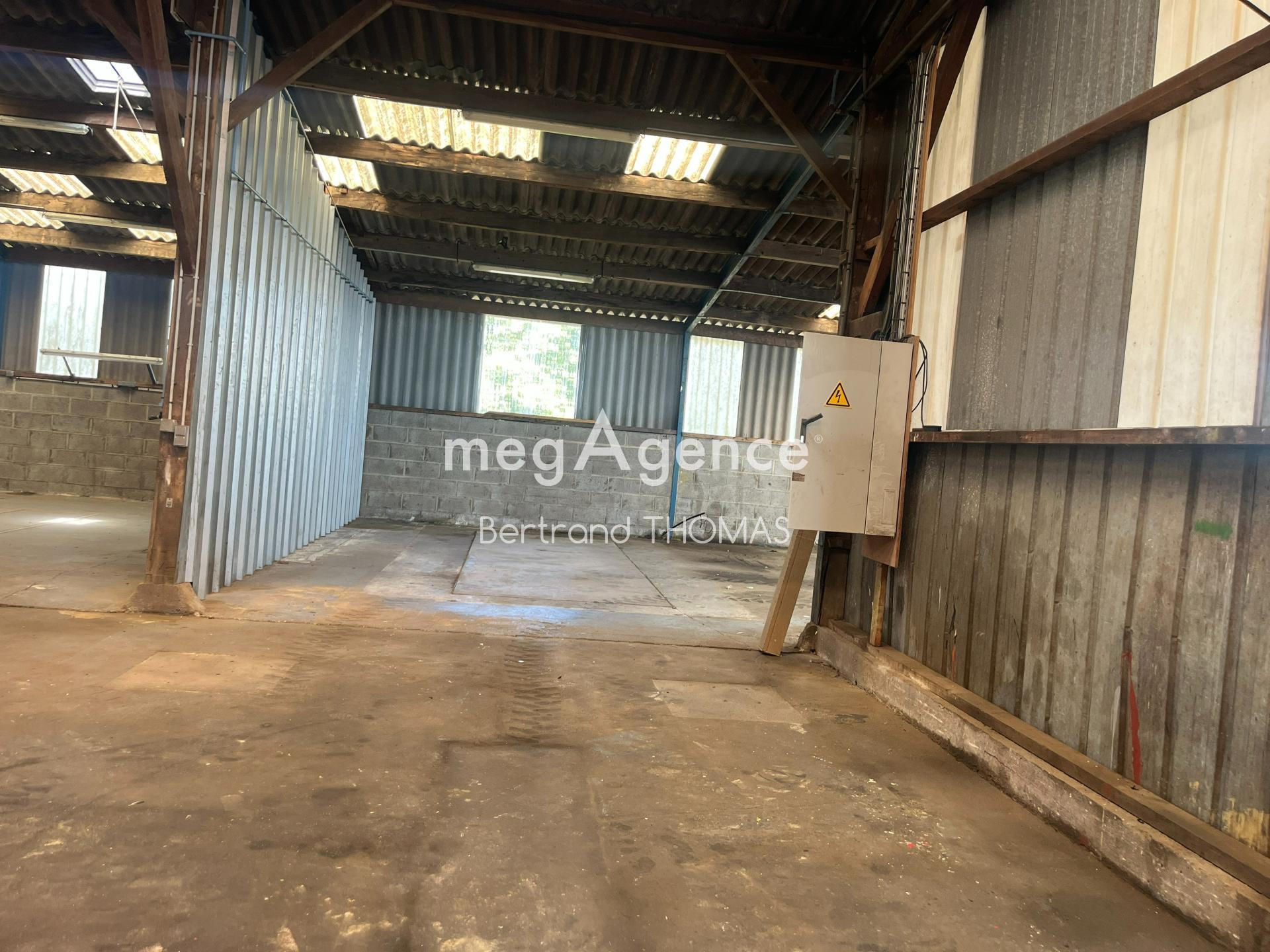 Miniature photo - 12 / 15