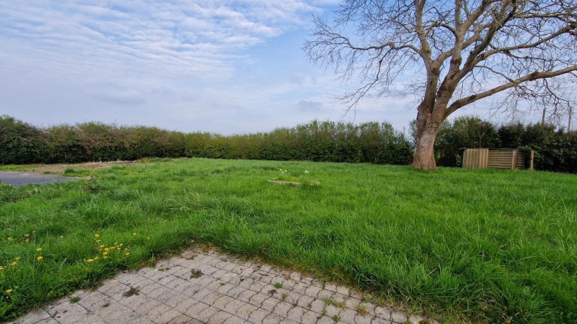 Miniature photo - 4 / 12