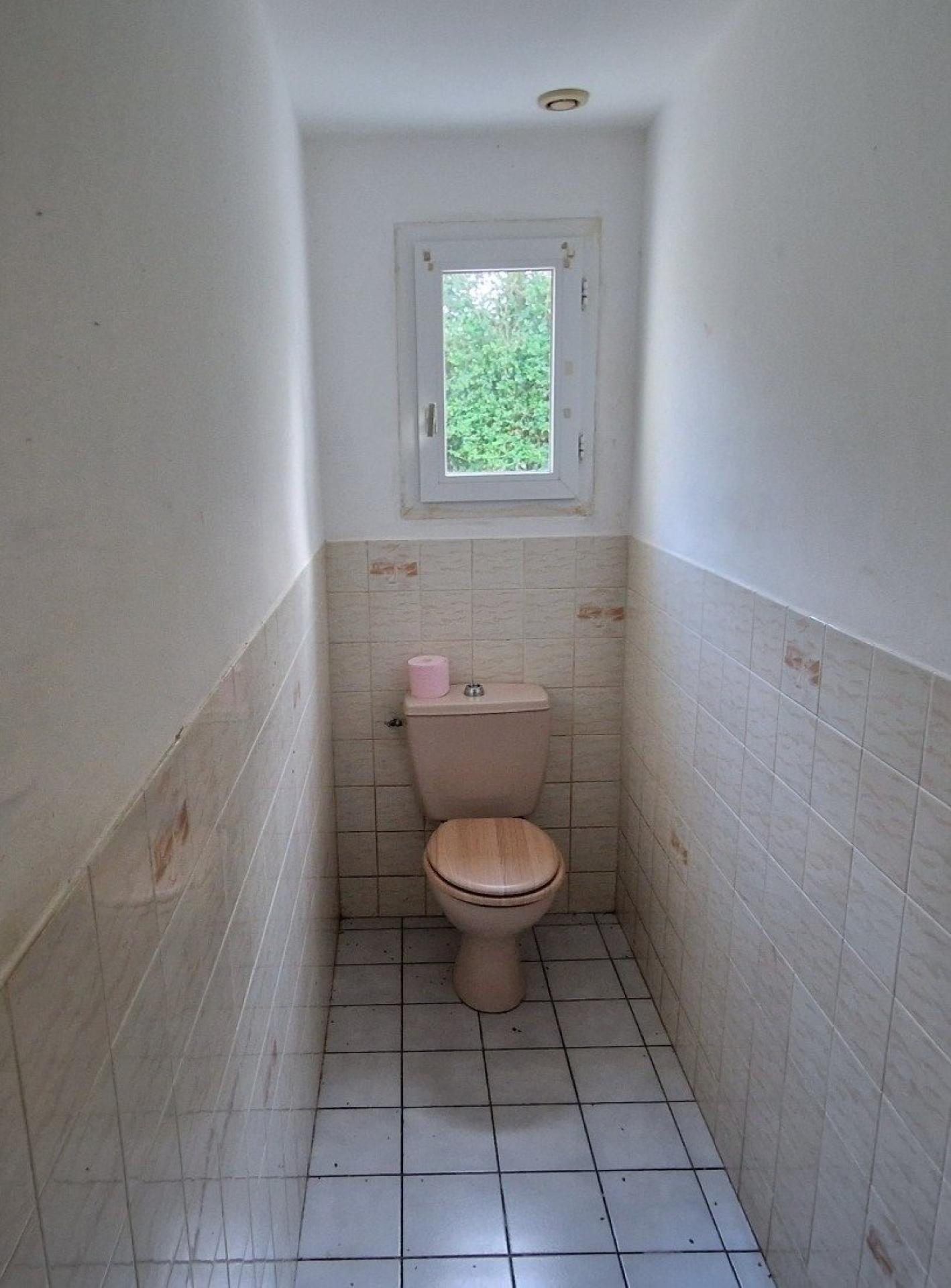 Miniature photo - 12 / 12