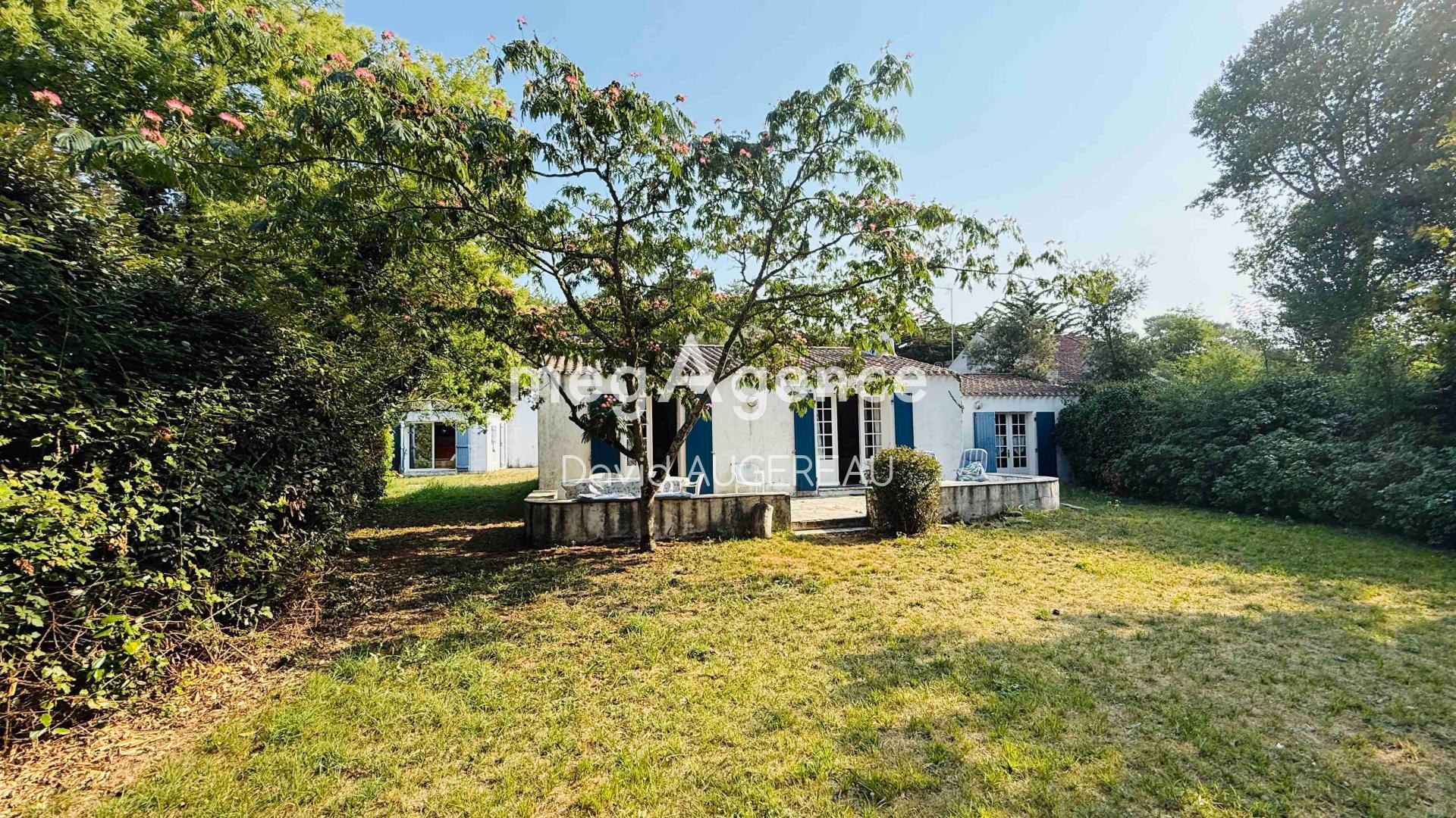 Miniature photo - 5 / 13