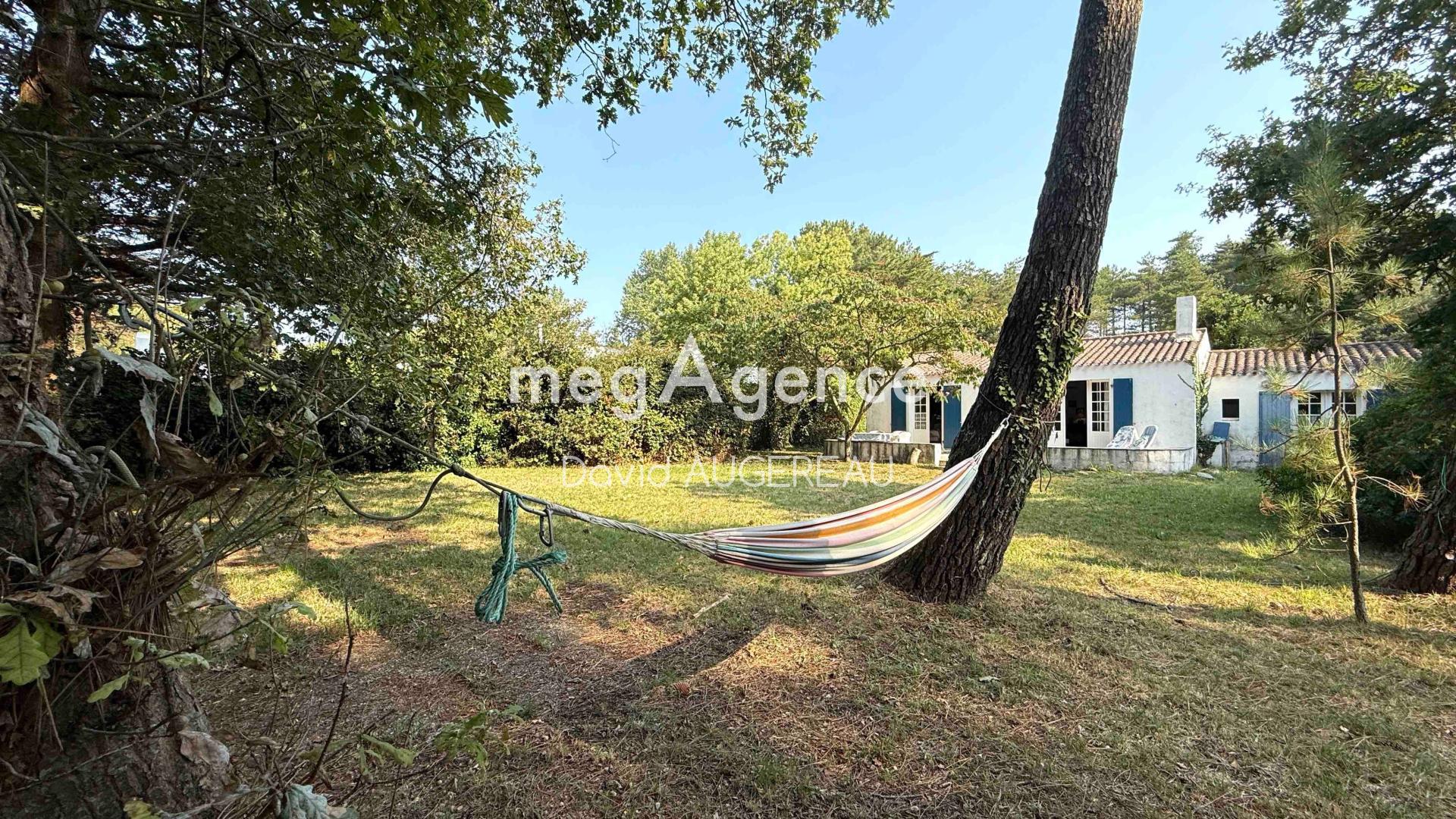 Miniature photo - 3 / 13