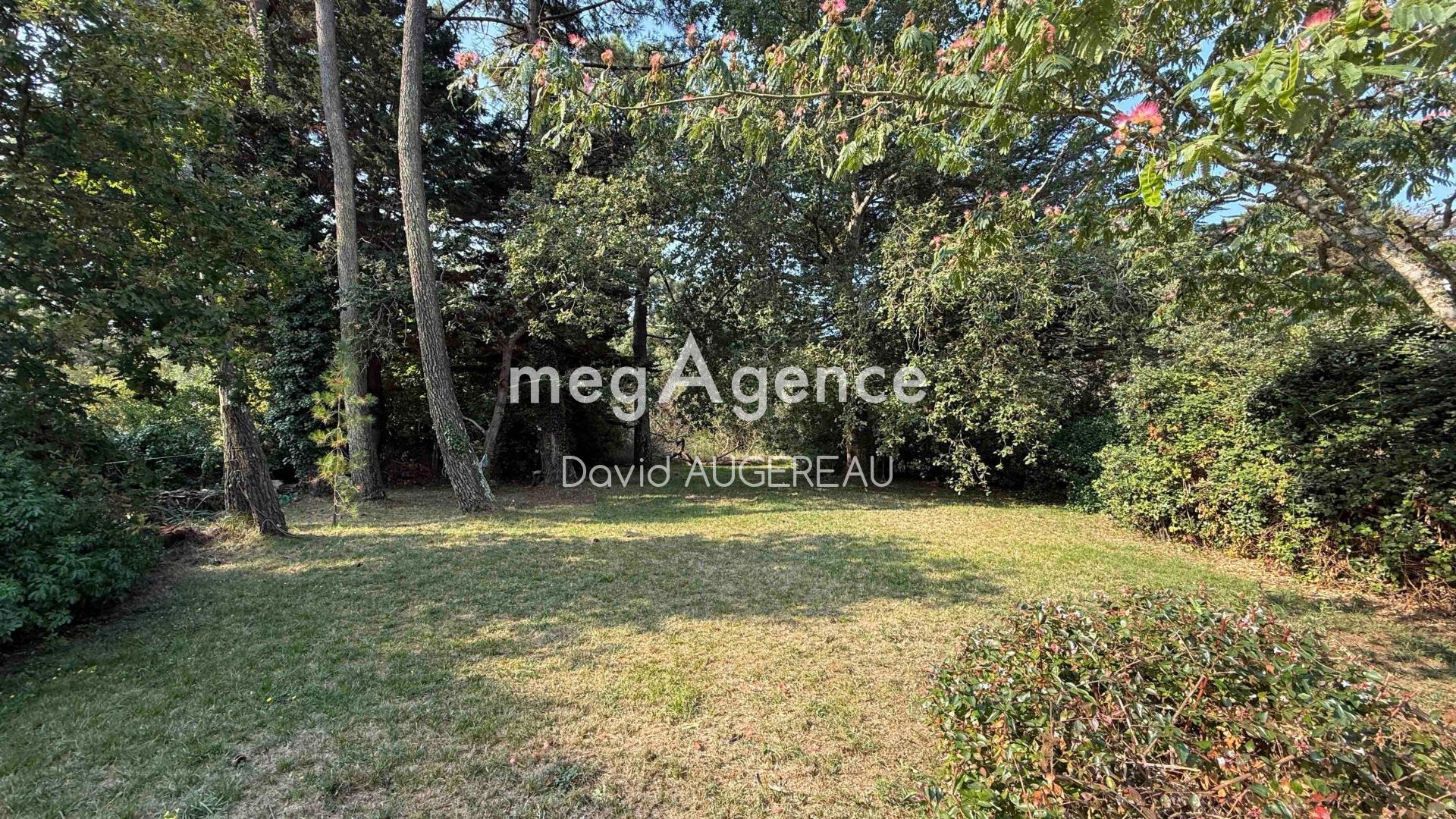 Miniature photo - 2 / 13