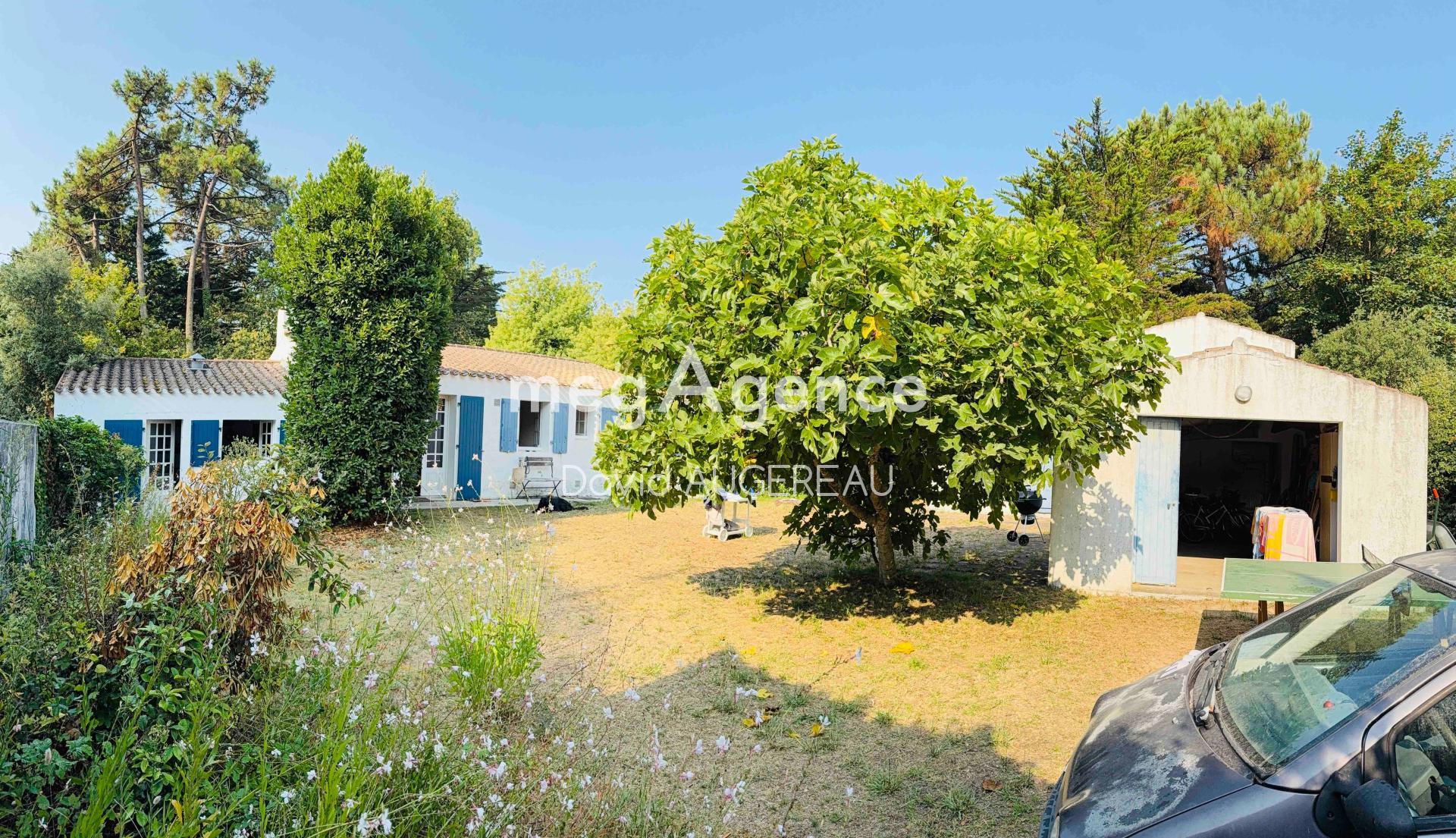 Miniature photo - 4 / 13