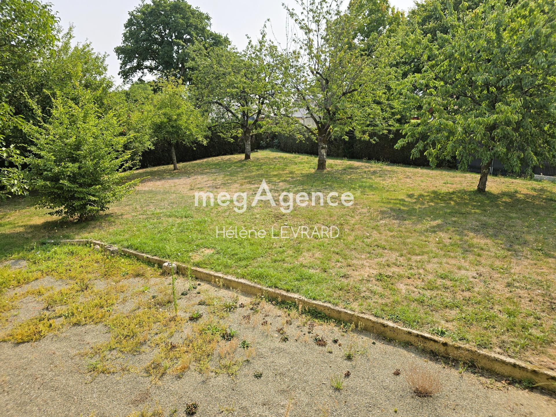 Miniature photo - 6 / 6