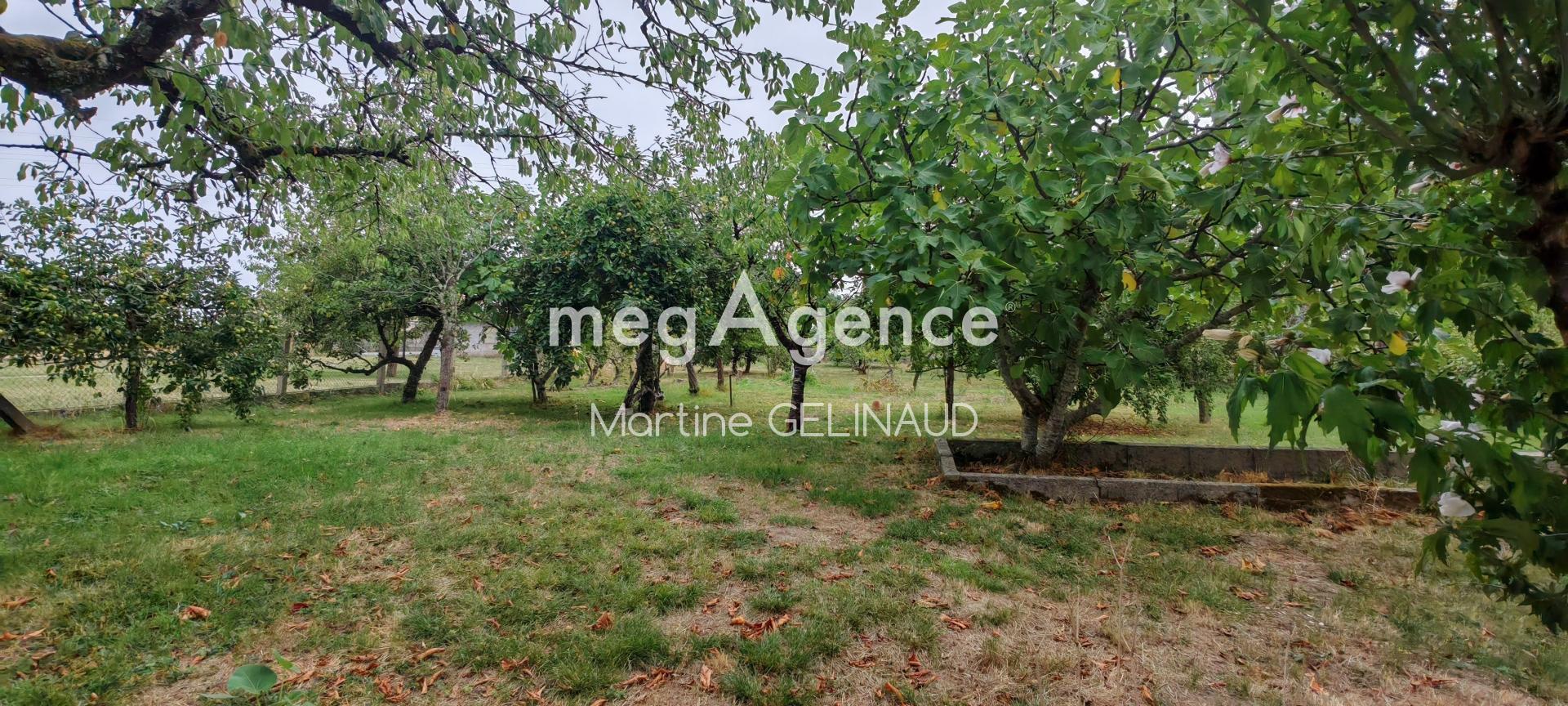 Miniature photo - 11 / 11