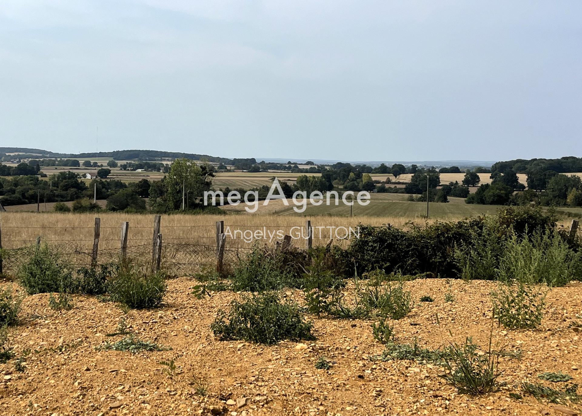 Miniature photo - 9 / 9