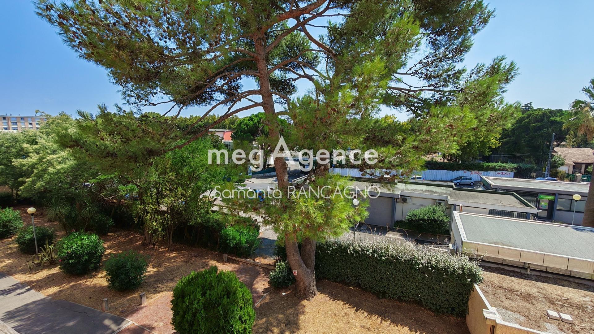 Miniature photo - 11 / 11