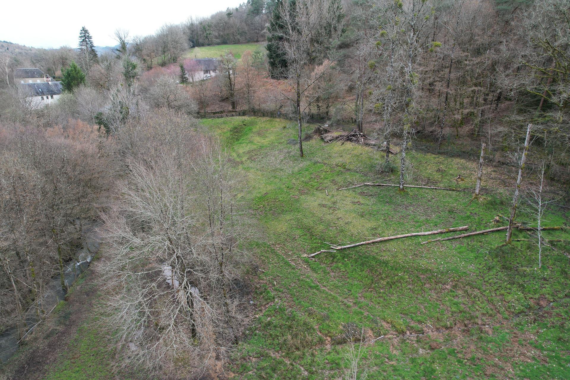 Miniature photo - 4 / 13