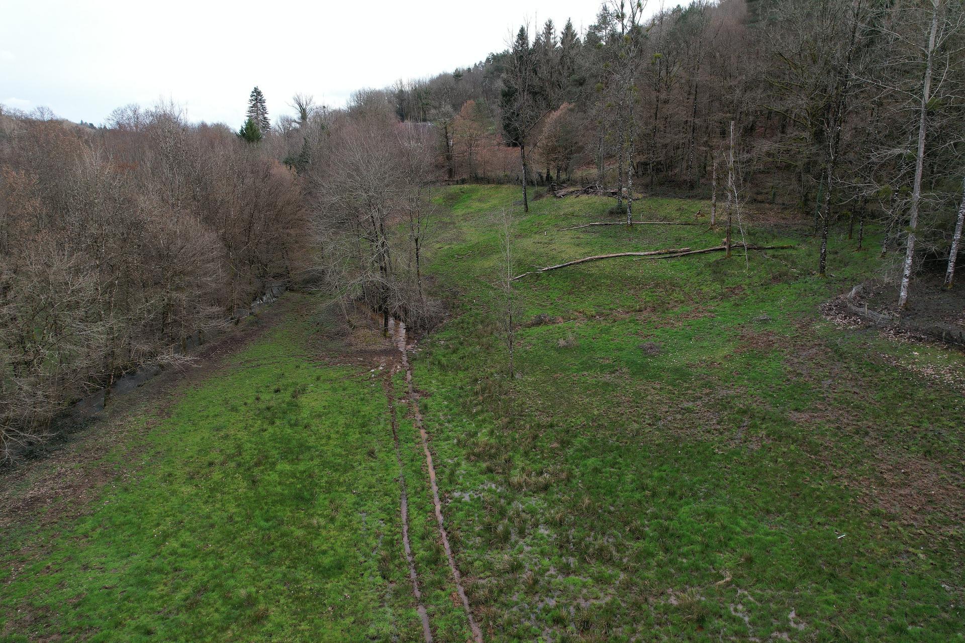 Miniature photo - 2 / 13