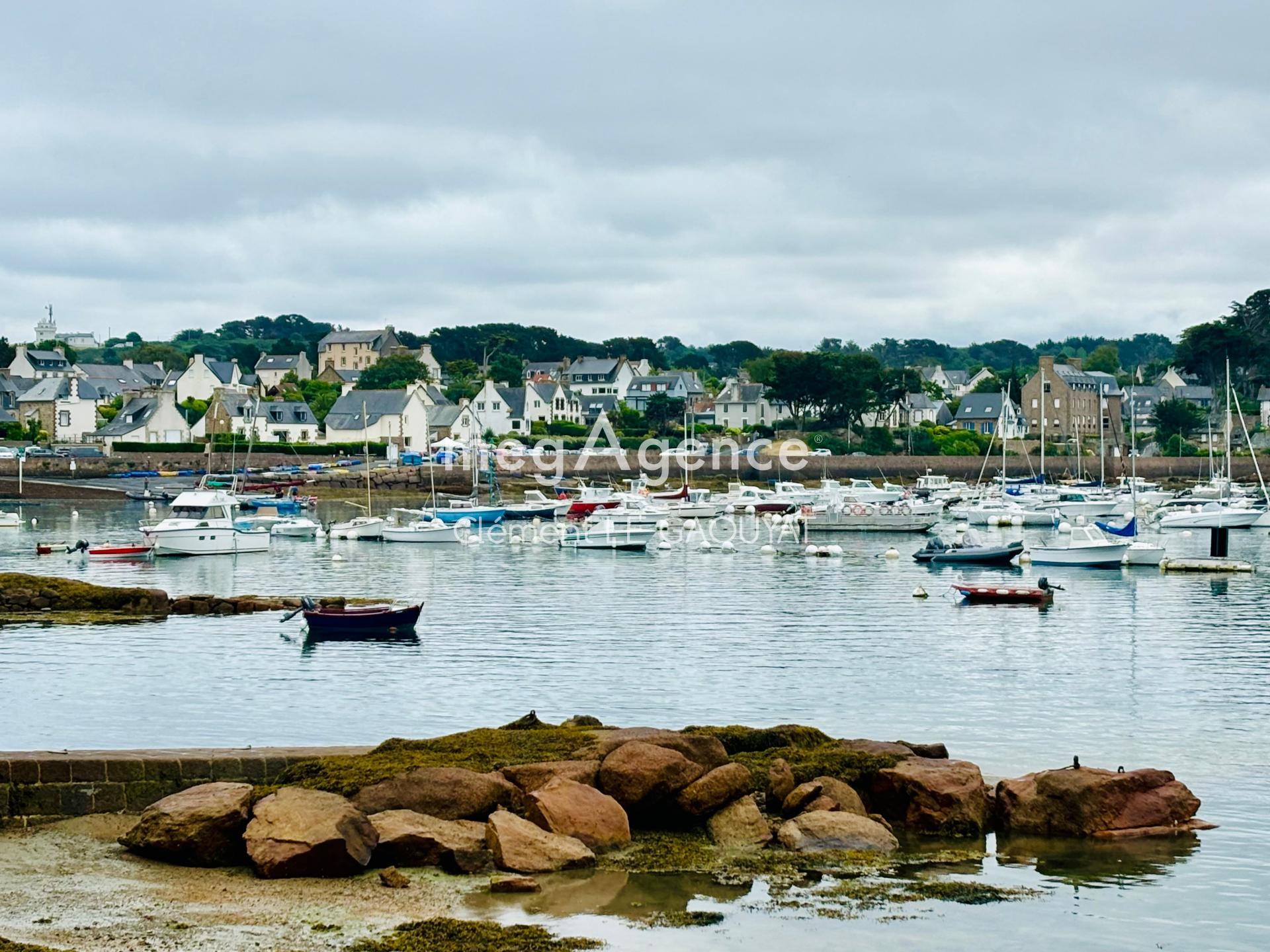 Miniature photo - 2 / 3