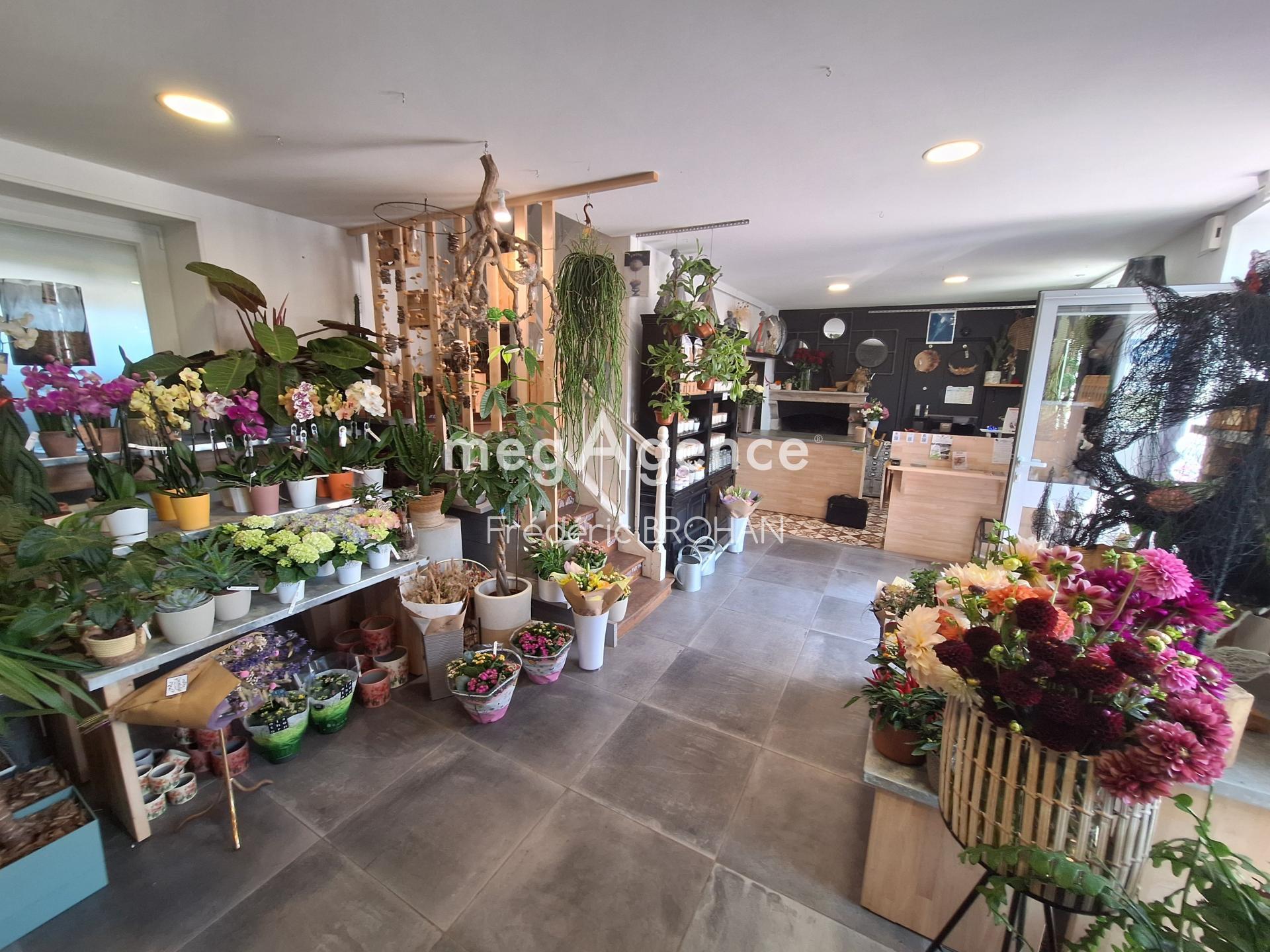 Miniature photo - 2 / 4