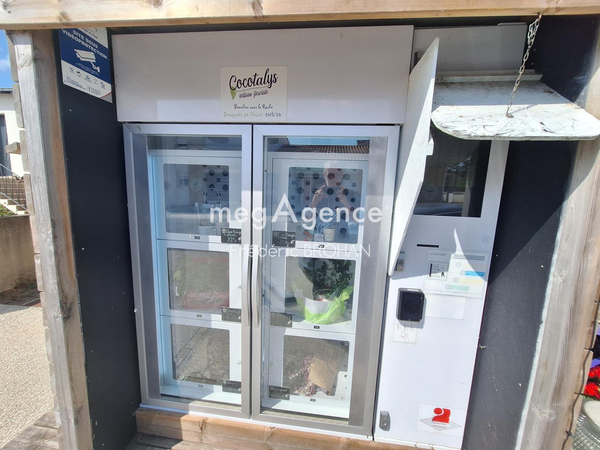 Miniature photo - 4 / 4