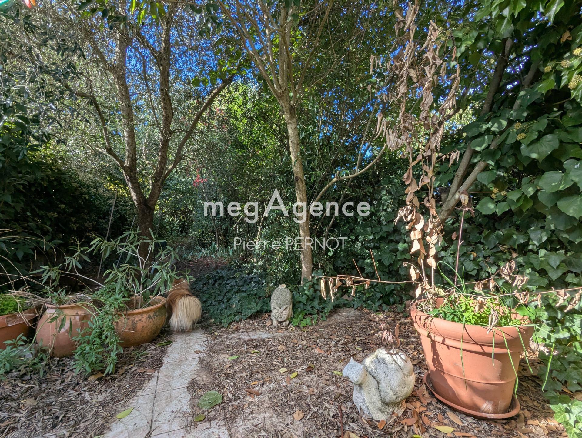 Miniature photo - 2 / 8