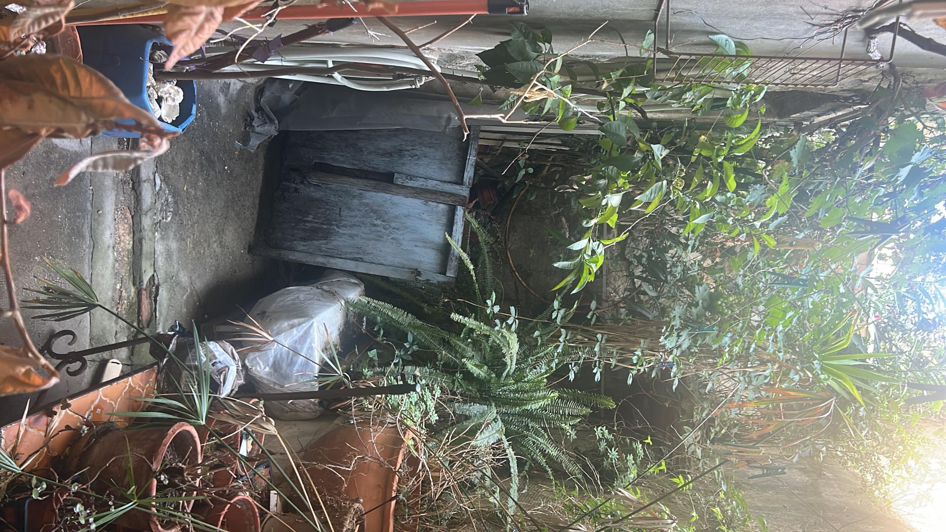 Miniature photo - 6 / 7