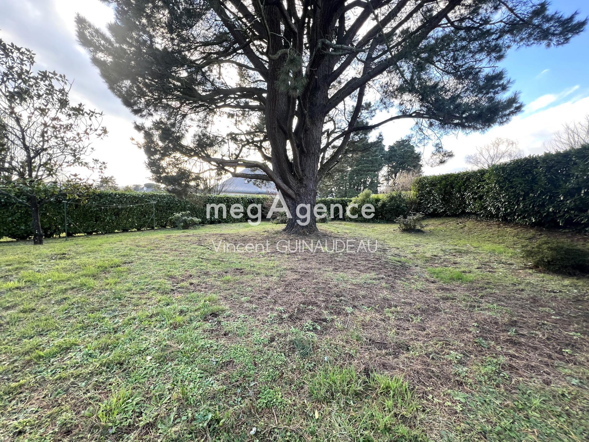 Miniature photo - 5 / 14