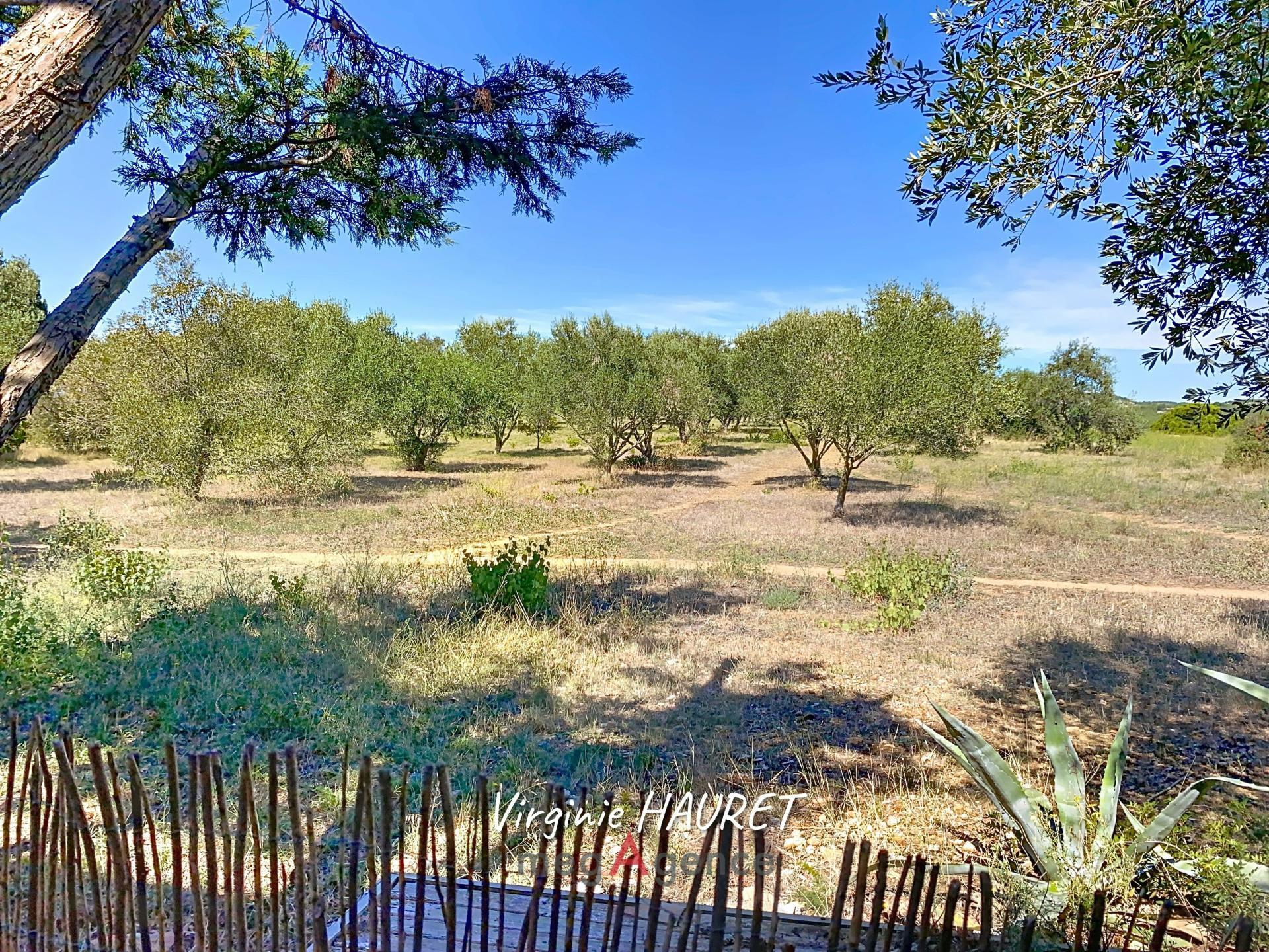 Miniature photo - 18 / 18