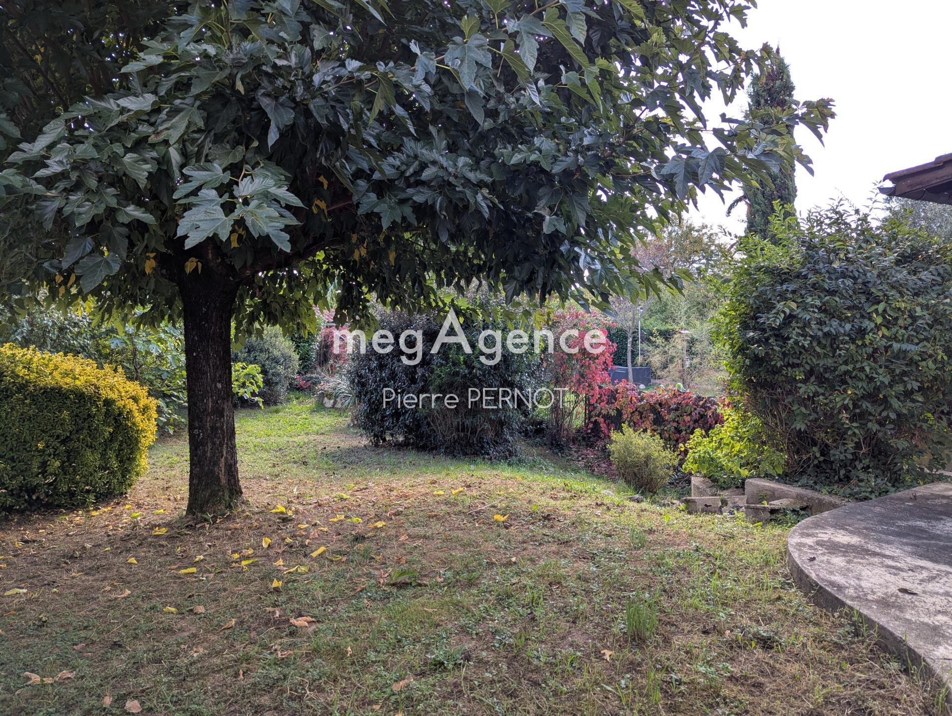 Miniature photo - 9 / 11