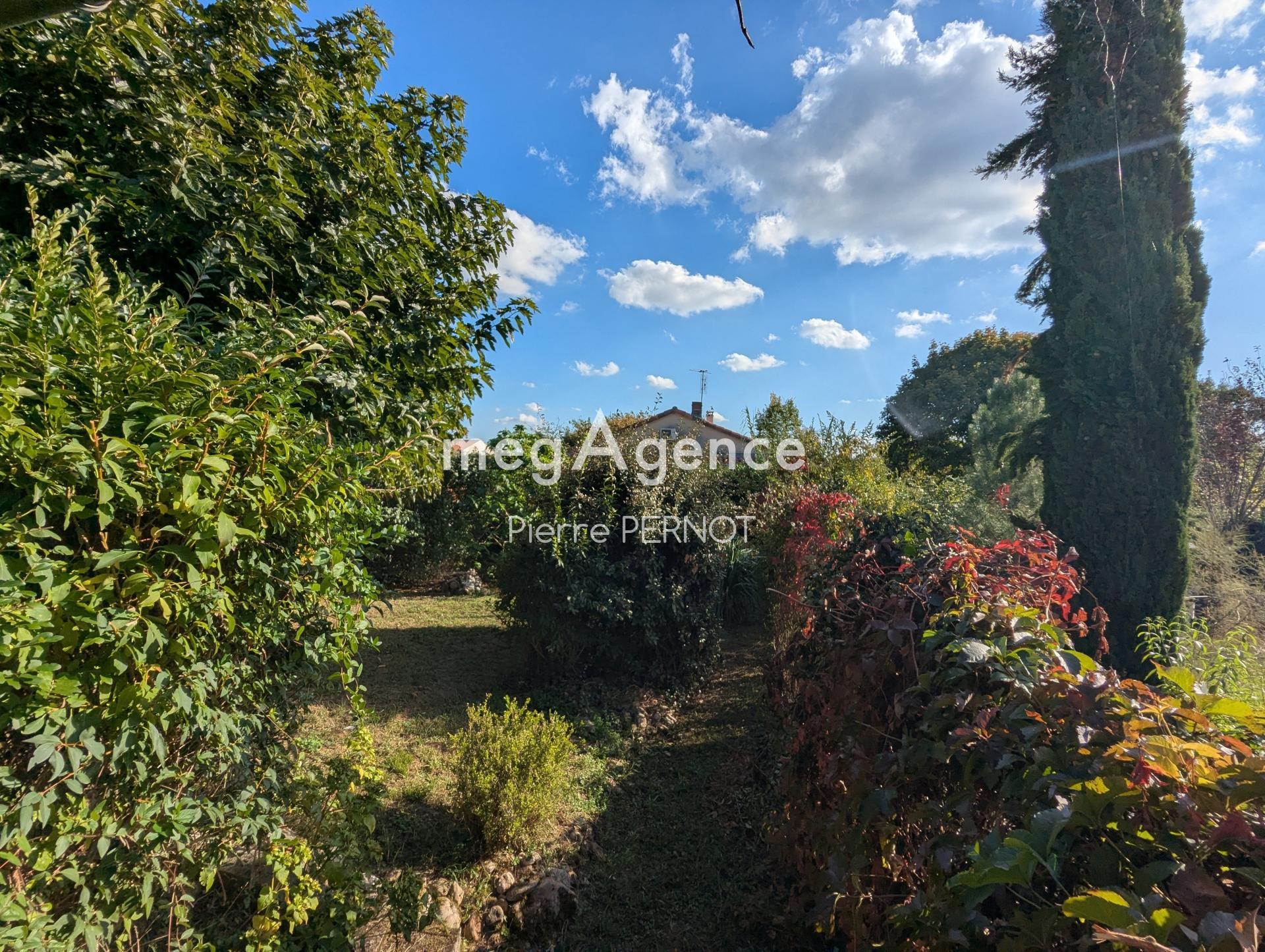 Miniature photo - 4 / 11