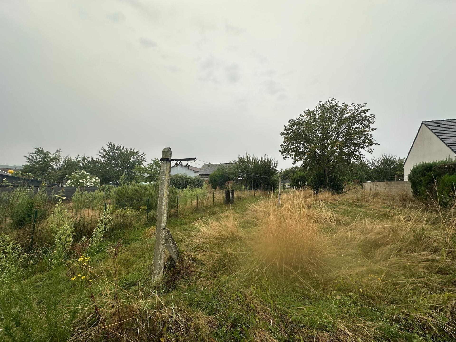 Miniature photo - 8 / 9