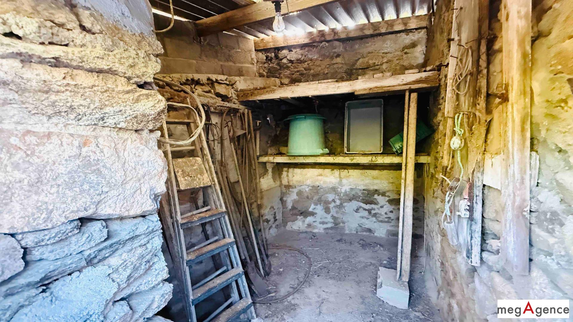 Miniature photo - 11 / 12