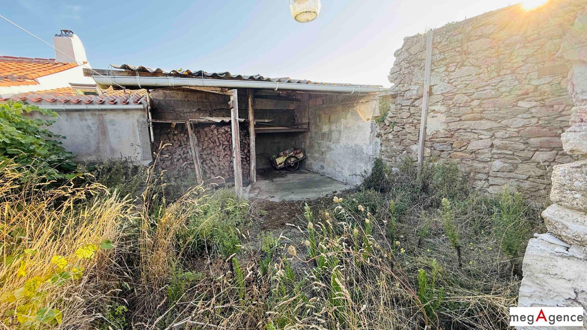 Miniature photo - 12 / 12