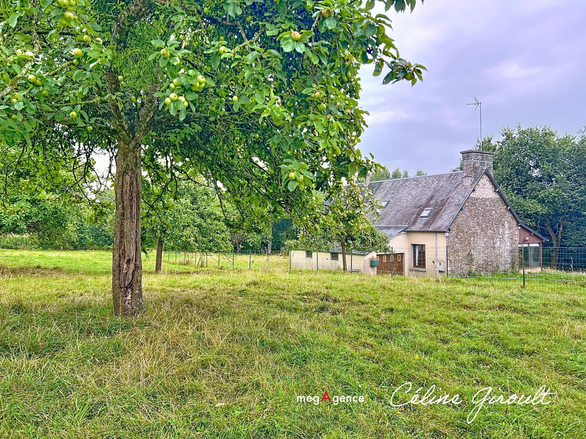 Miniature photo - 18 / 19