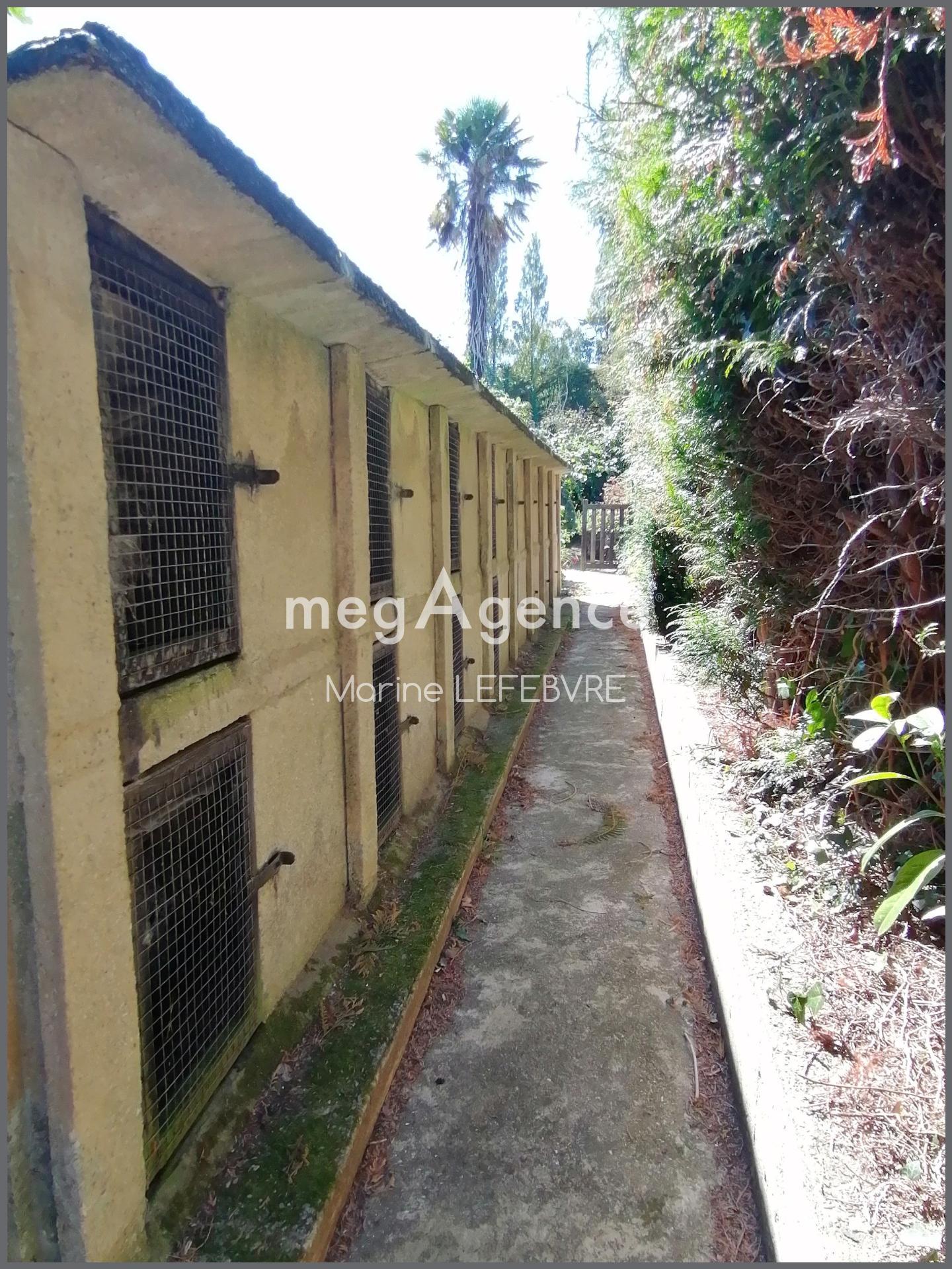 Miniature photo - 15 / 16