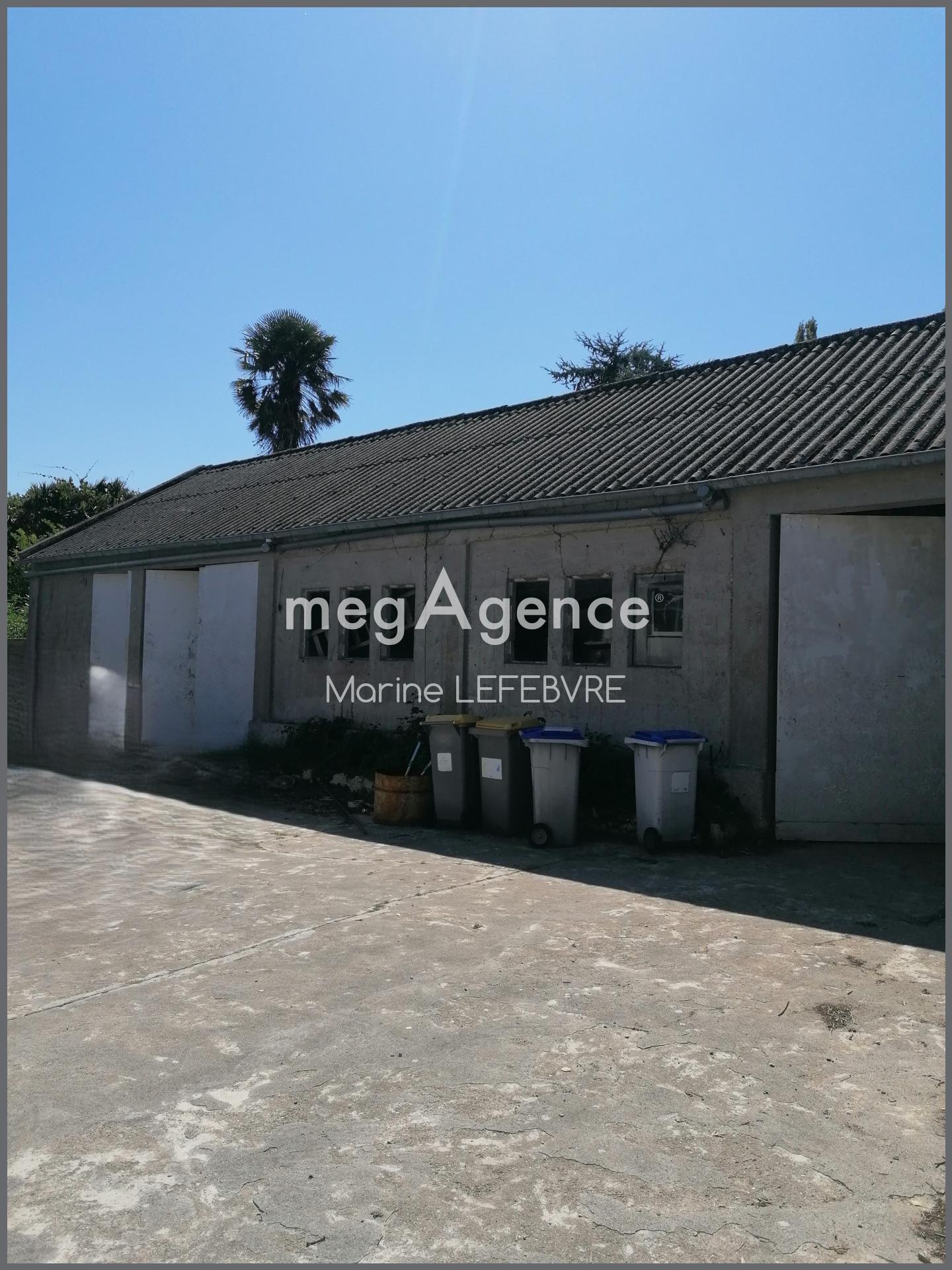 Miniature photo - 16 / 16