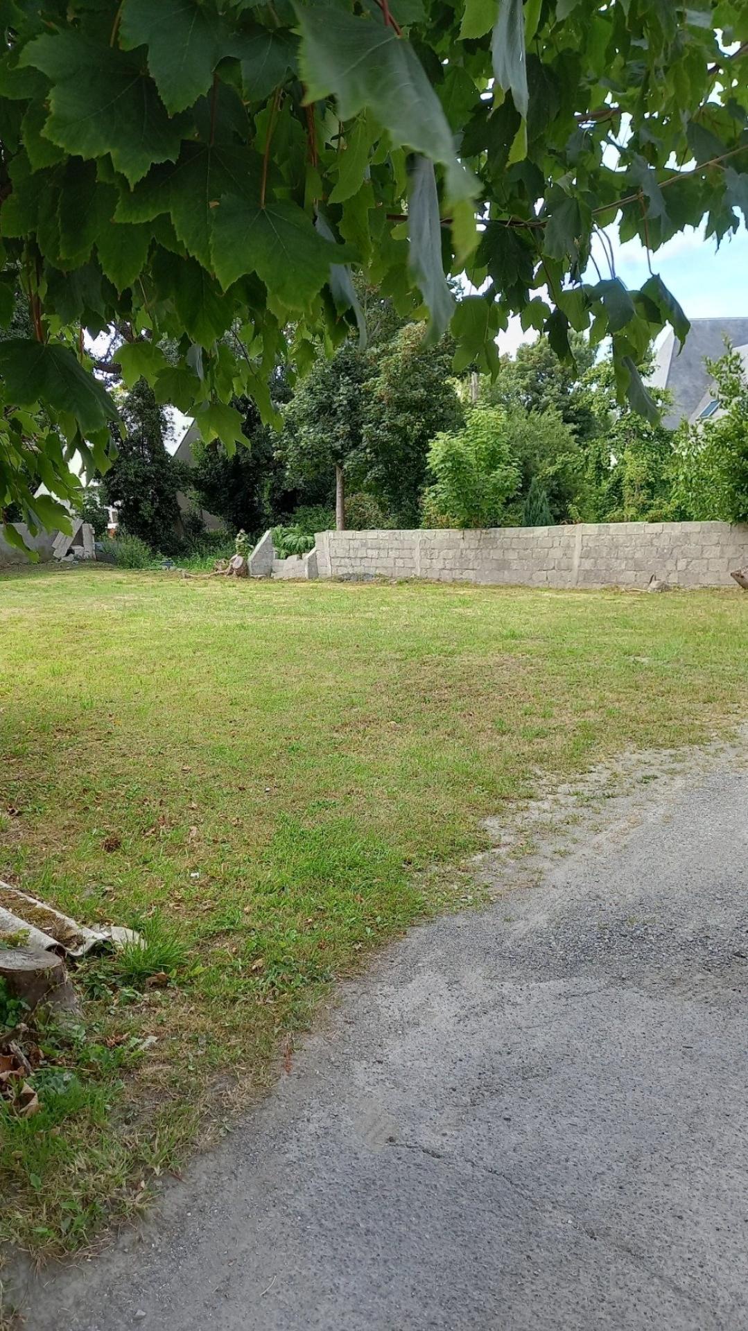 Miniature photo - 3 / 3