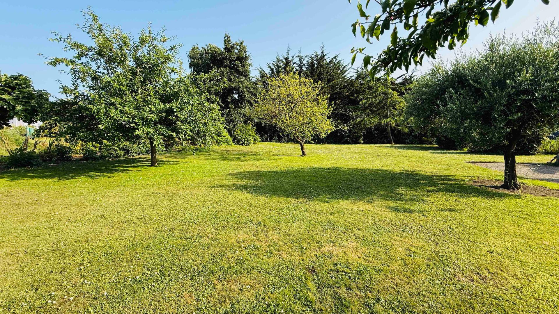 Miniature photo - 3 / 19