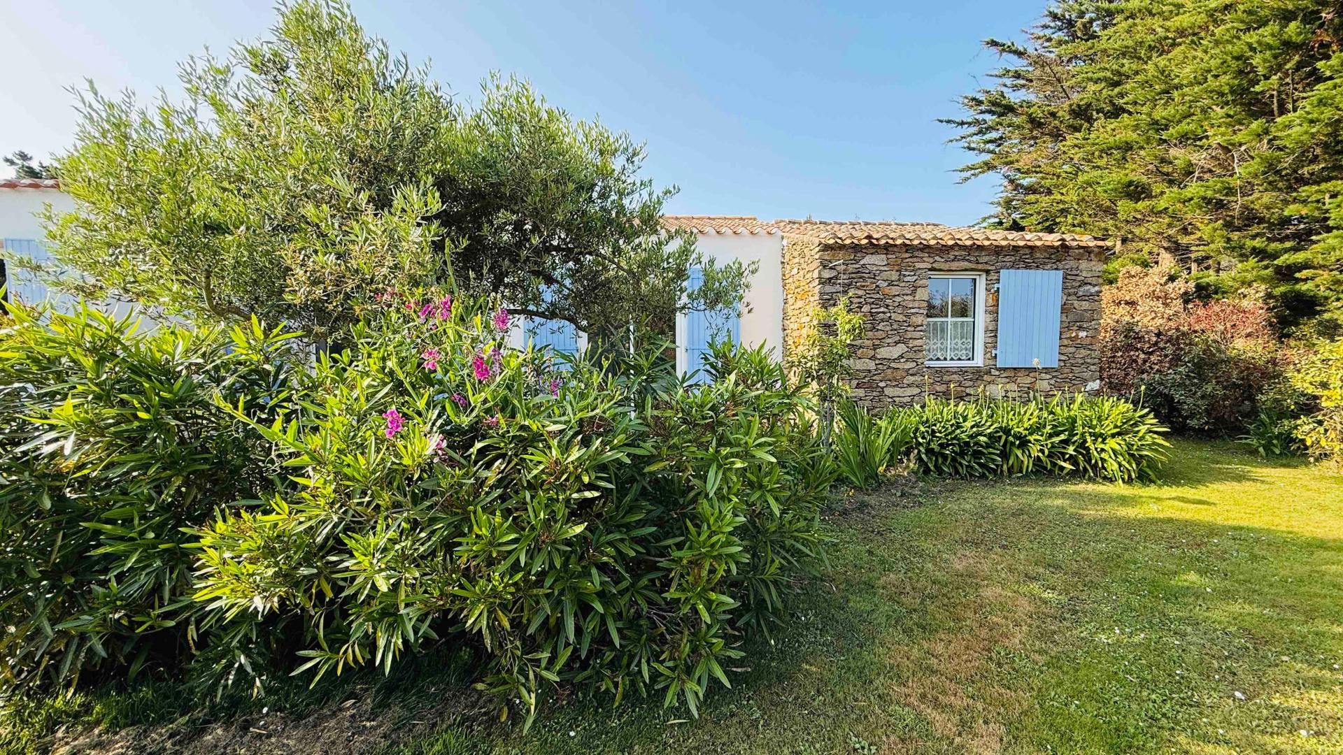 Miniature photo - 10 / 19