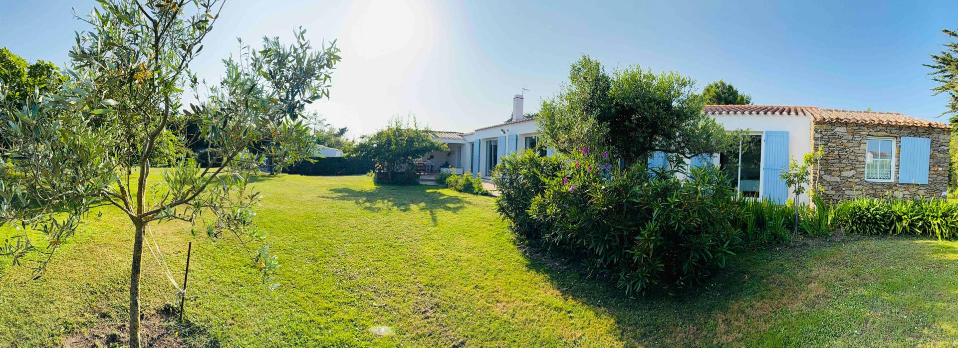 Miniature photo - 2 / 19