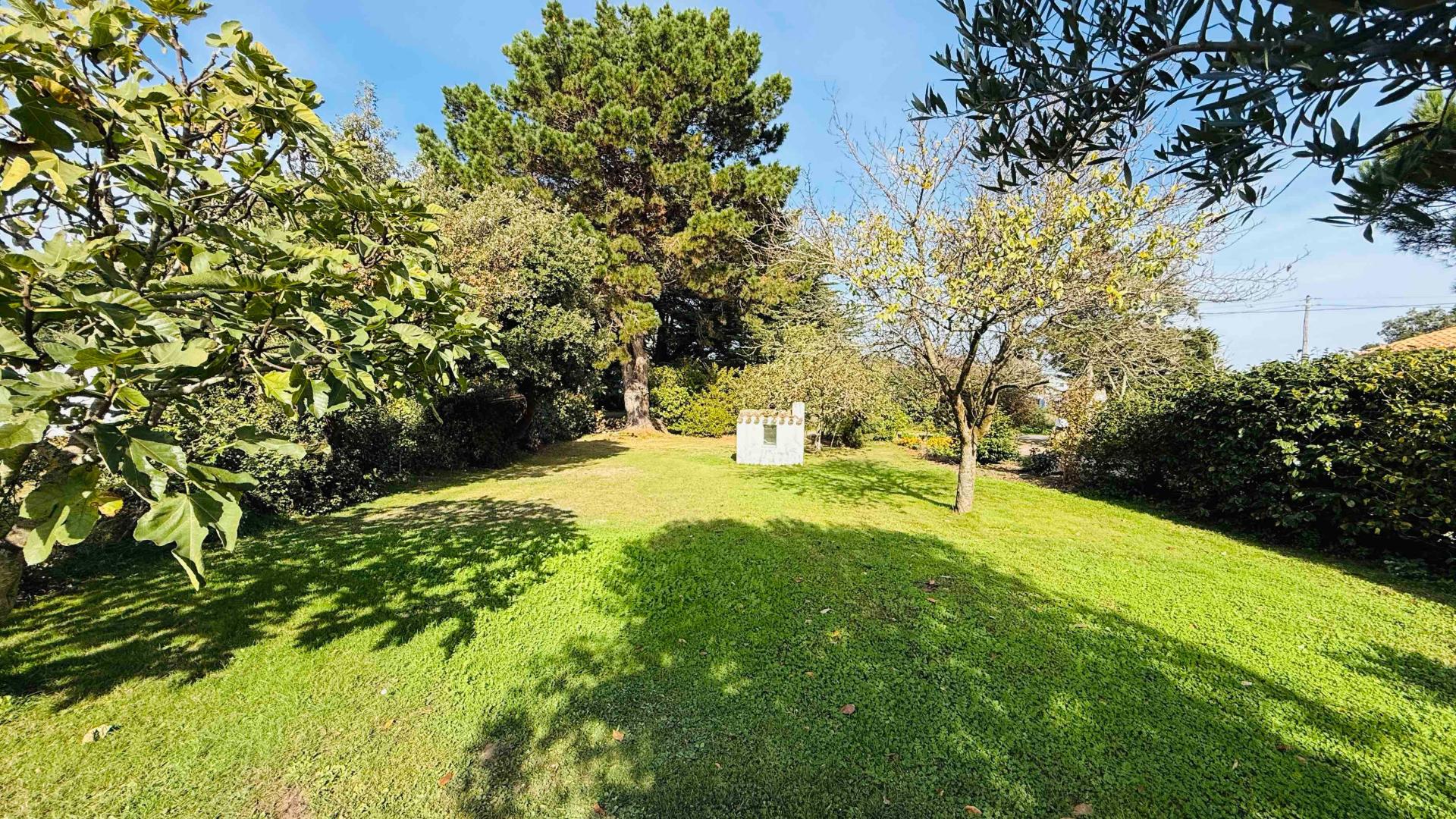 Miniature photo - 7 / 19