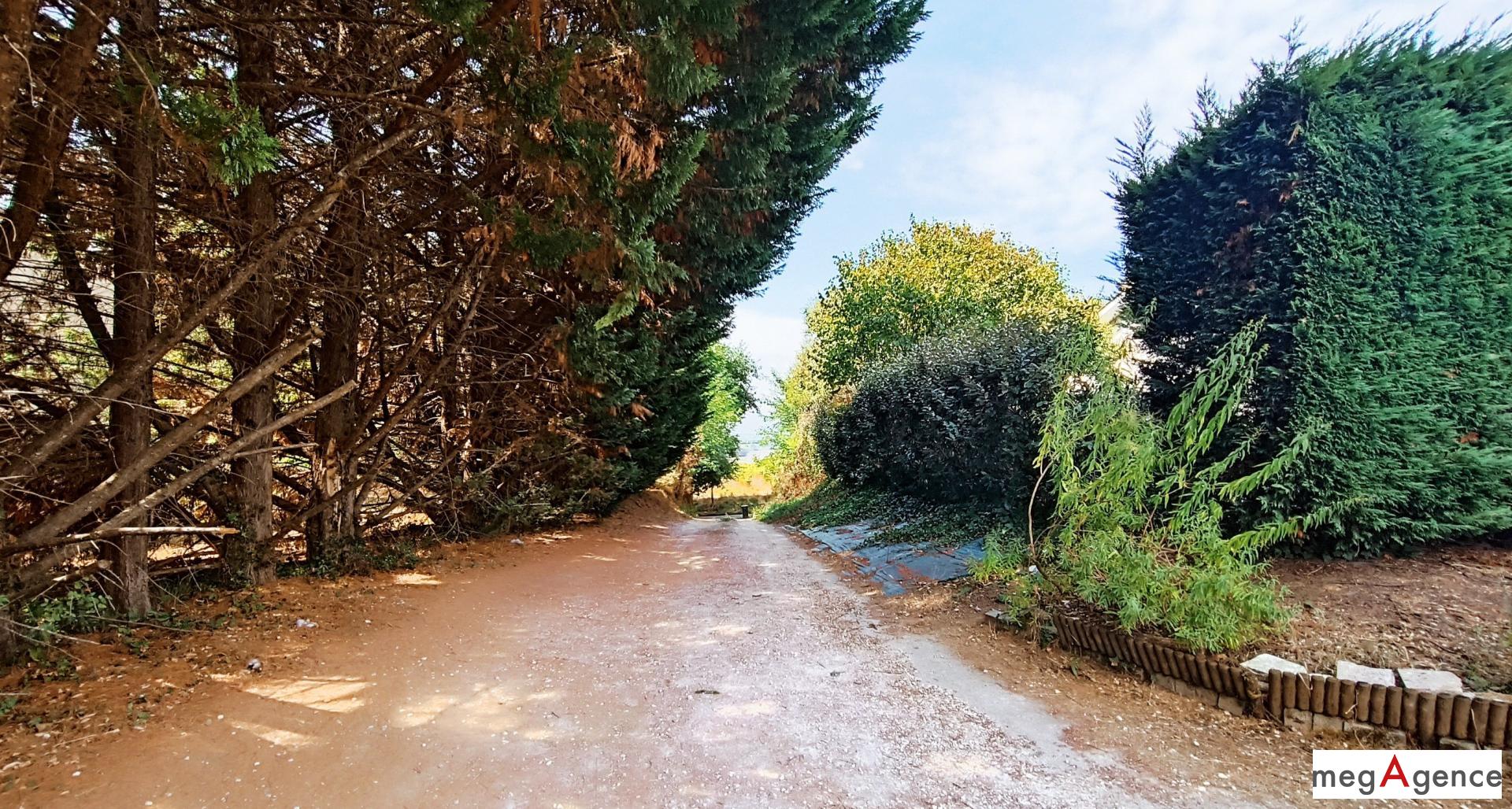 Miniature photo - 14 / 14