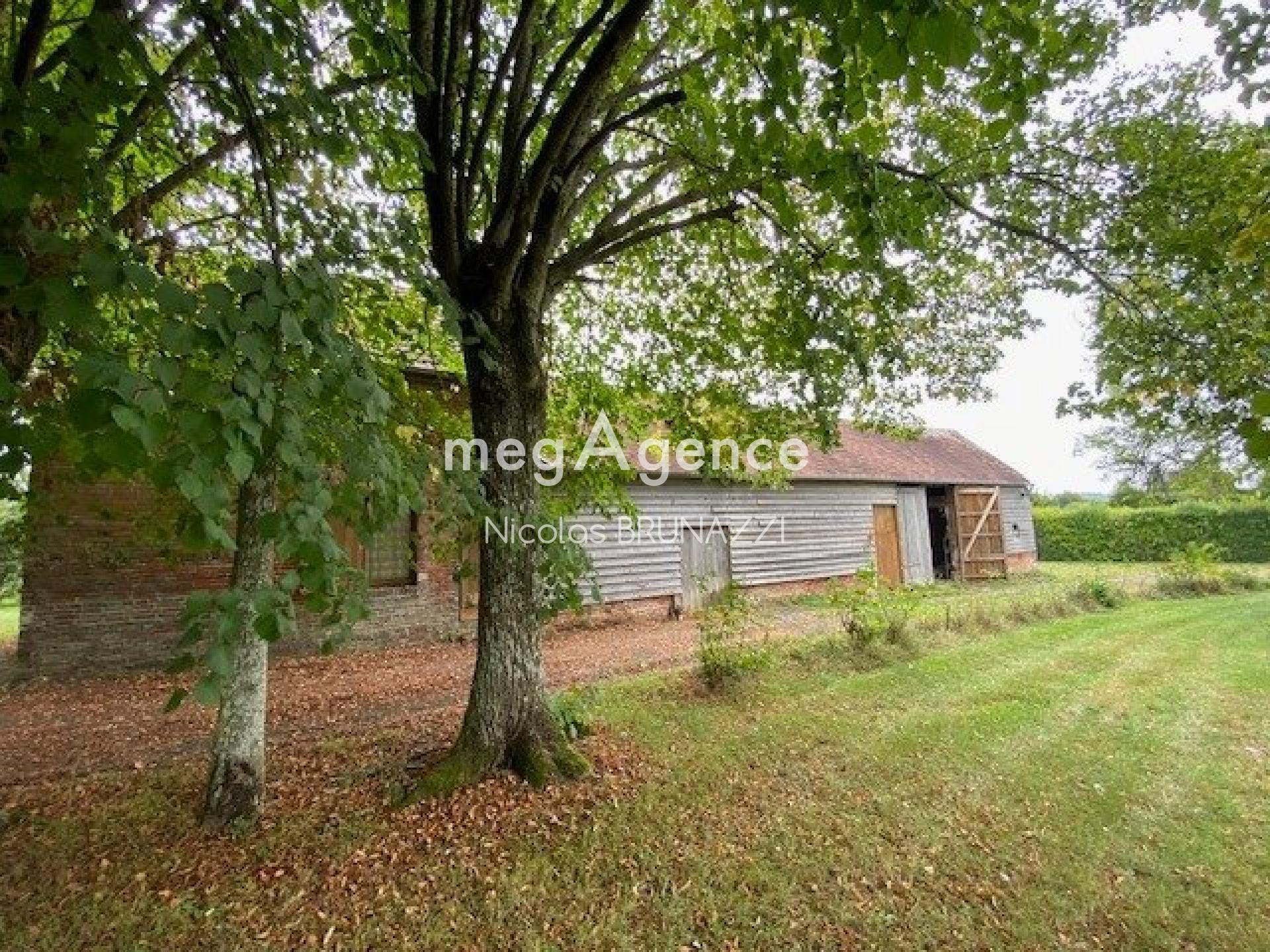 Miniature photo - 11 / 13