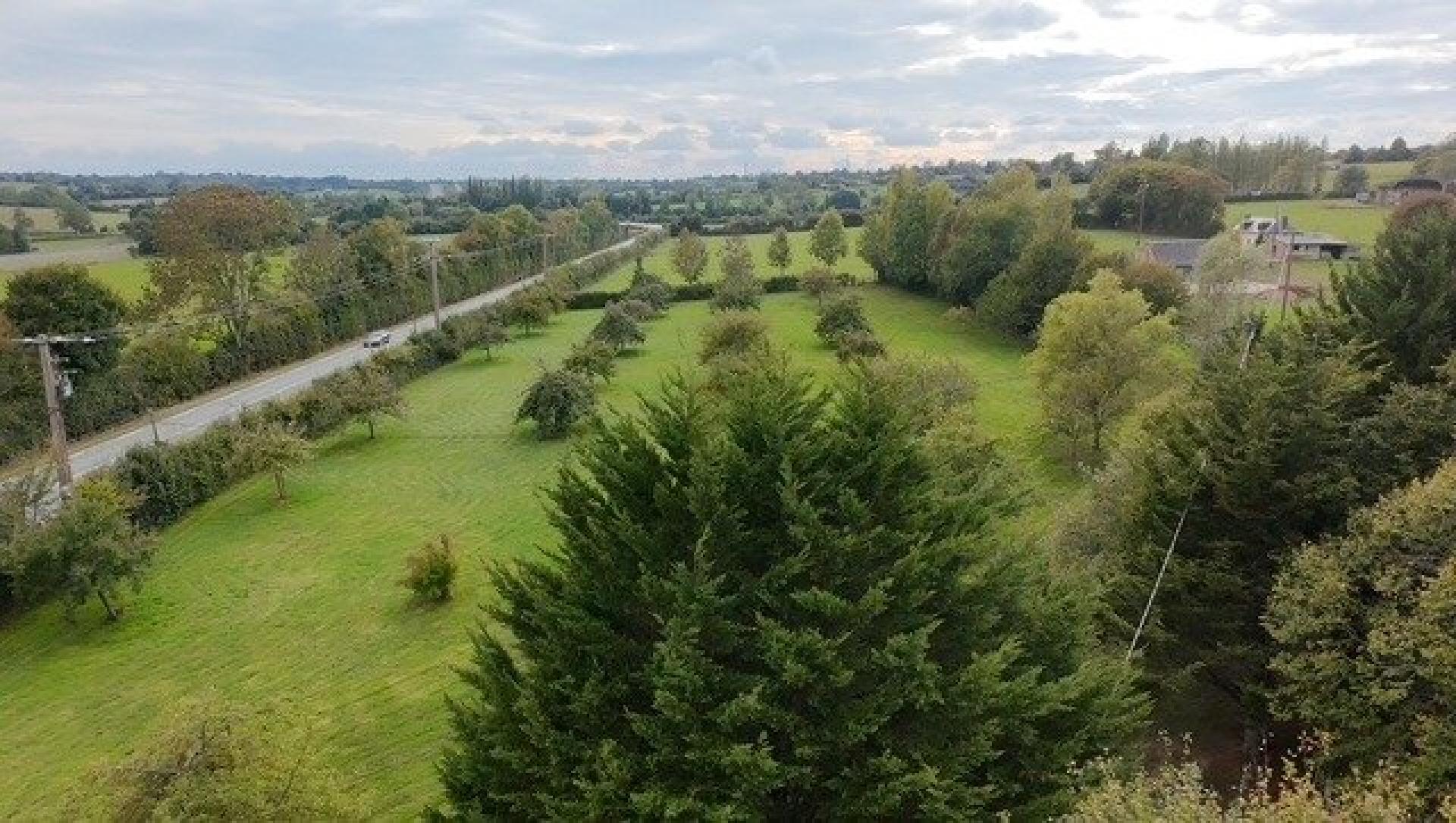 Miniature photo - 13 / 13