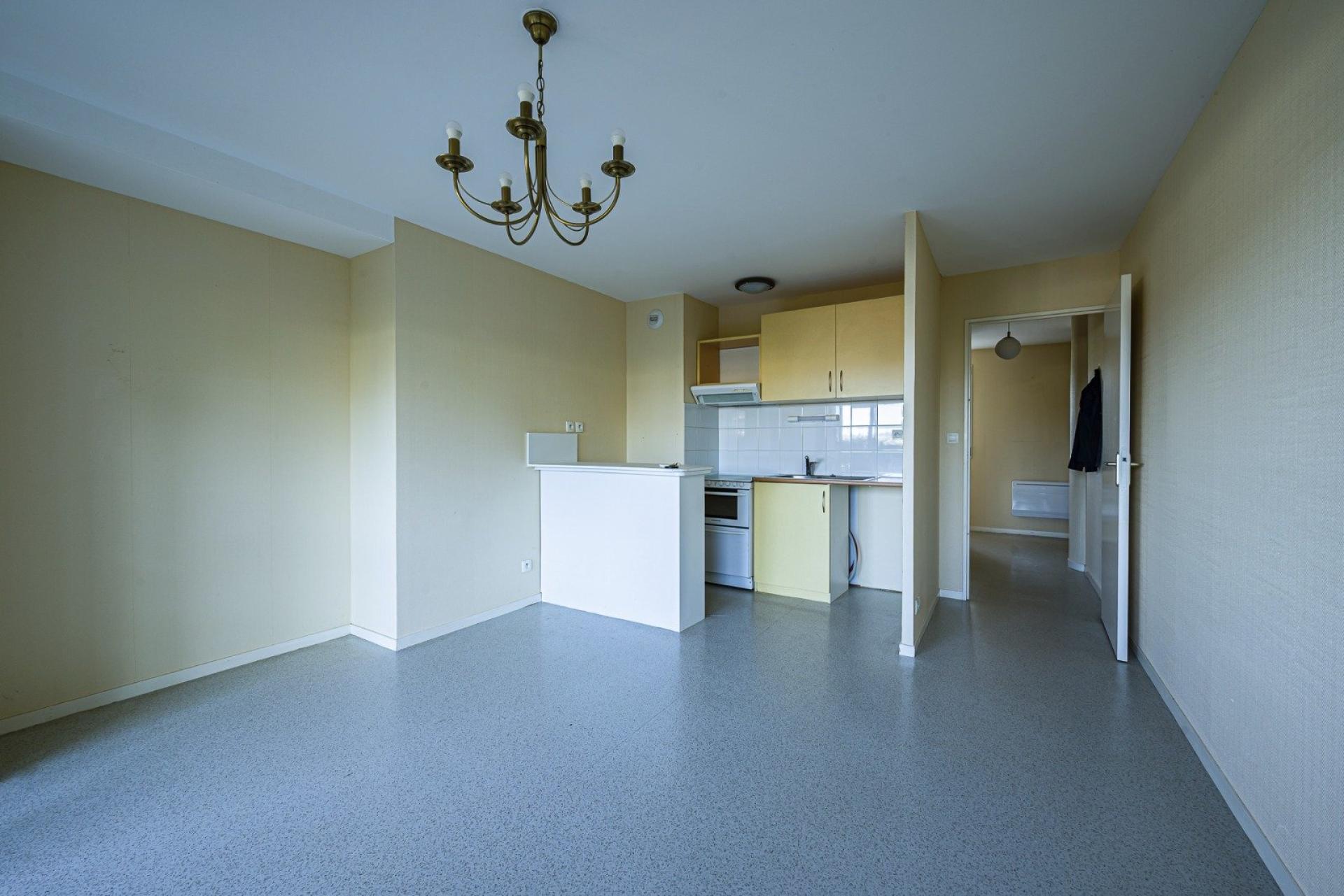 Miniature photo - 5 / 10