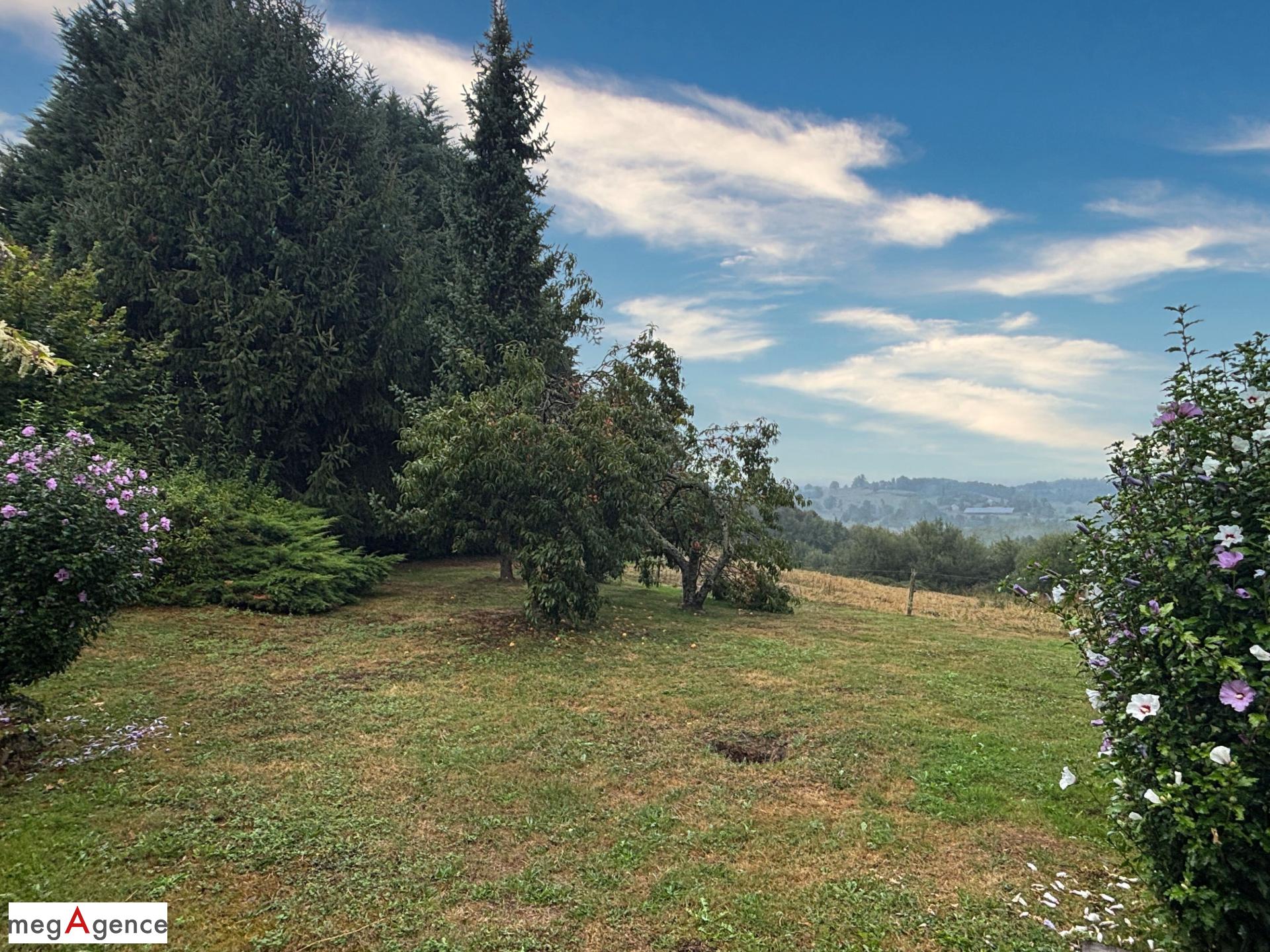 Miniature photo - 10 / 20