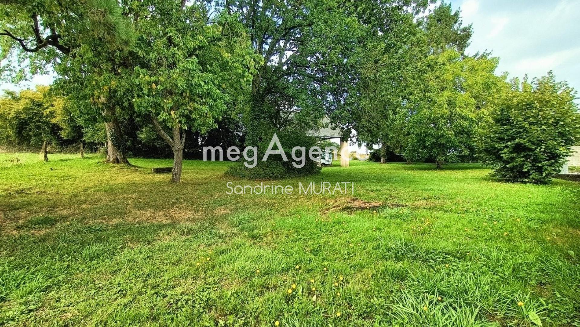 Miniature photo - 16 / 17