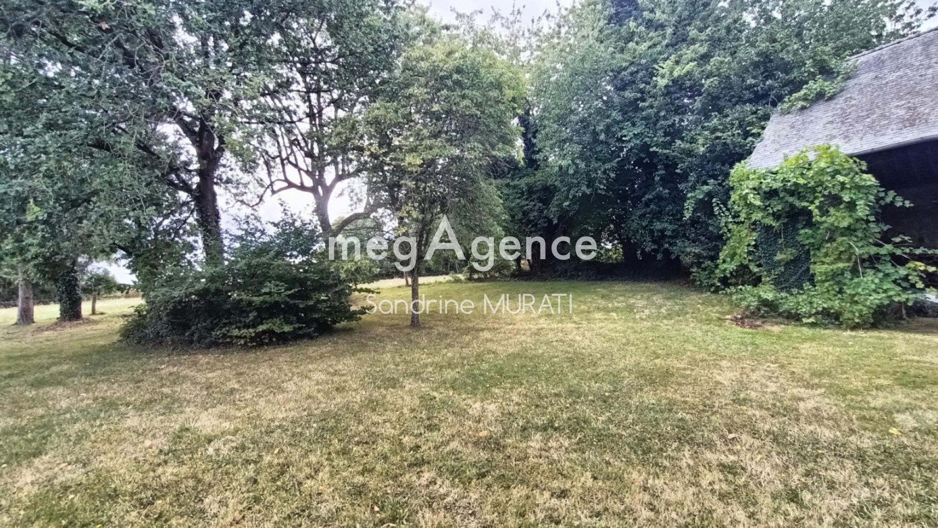 Miniature photo - 12 / 17