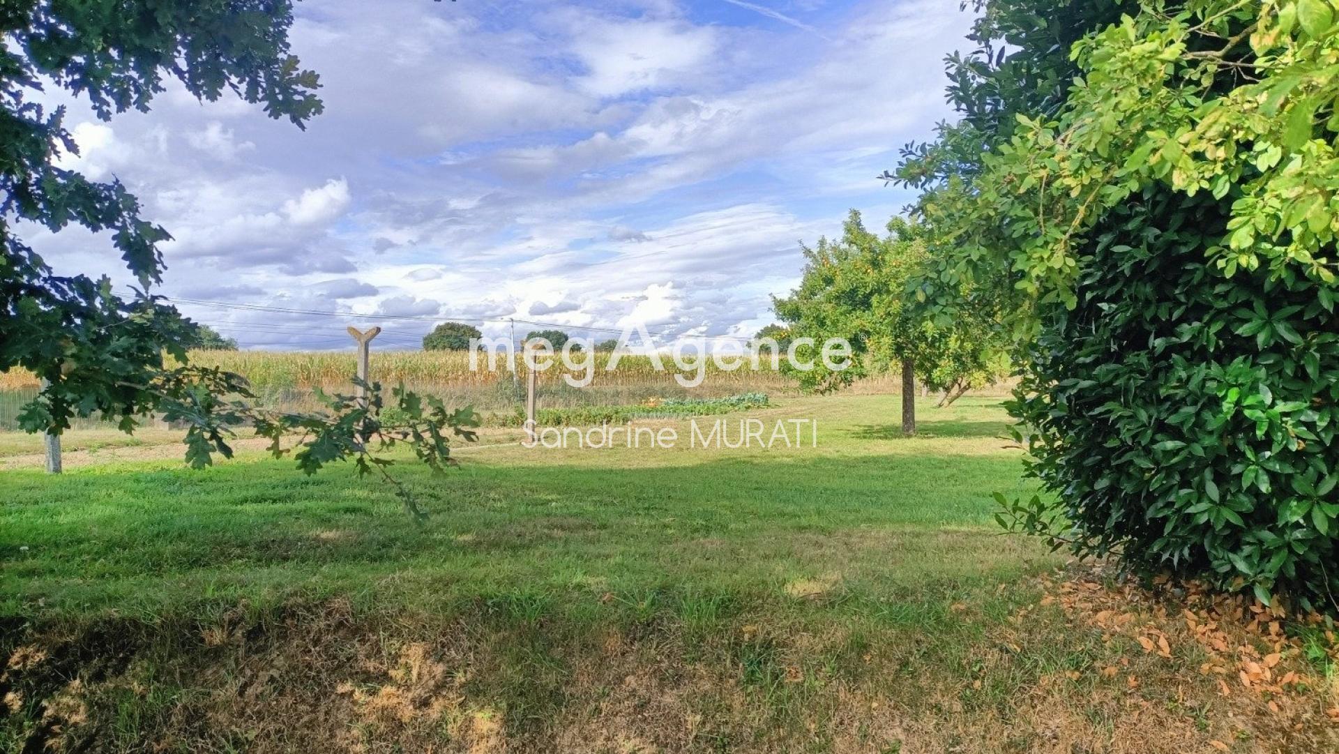 Miniature photo - 11 / 17