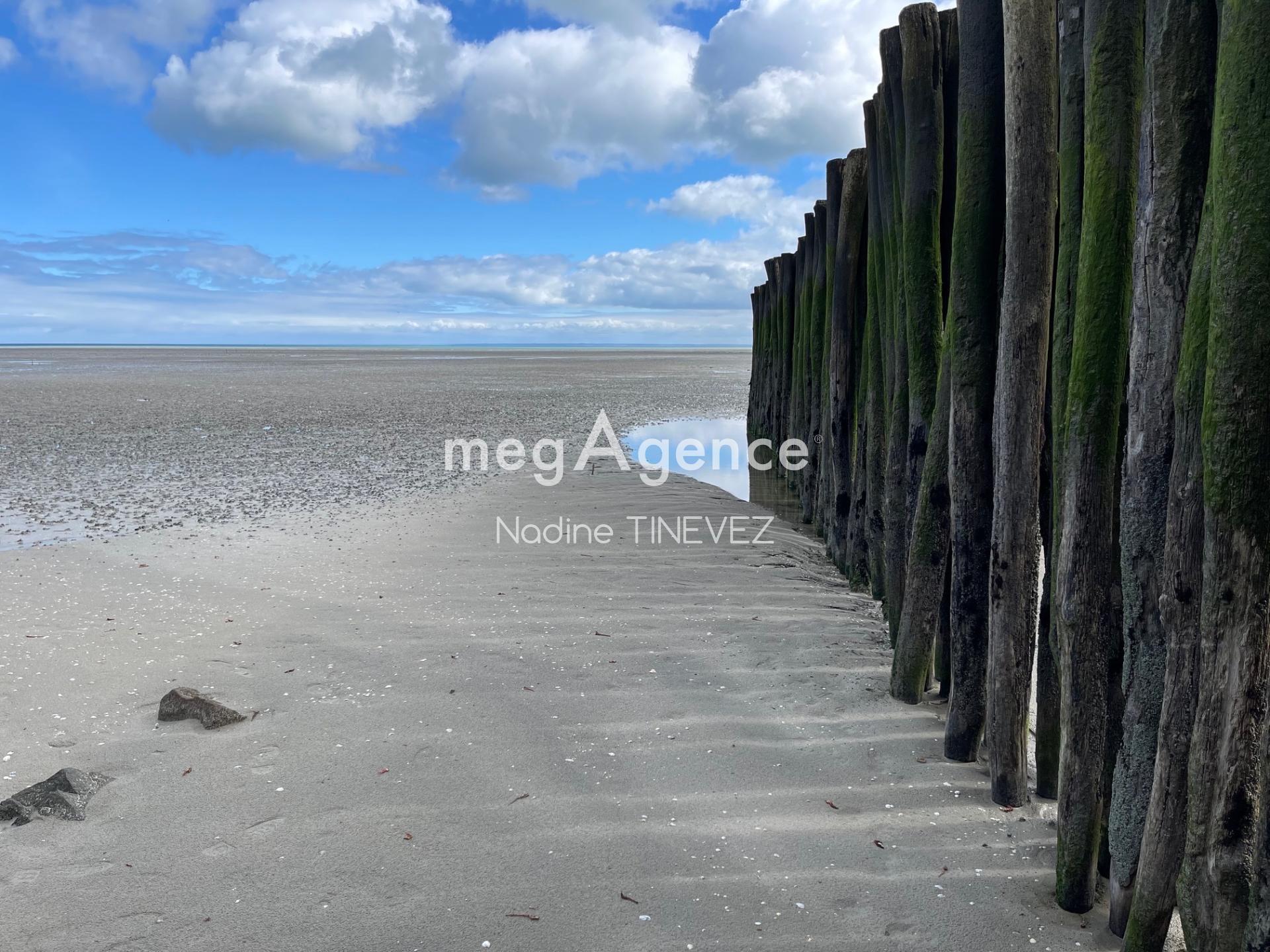 Miniature photo - 11 / 12