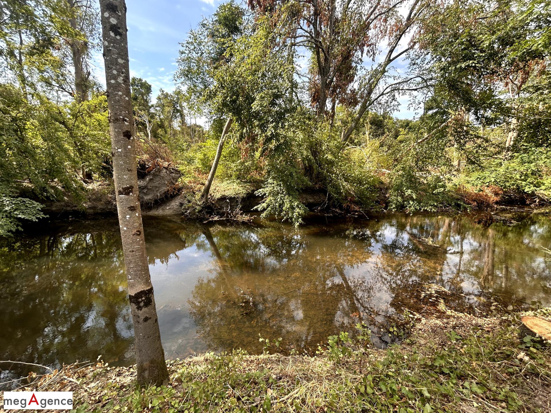 Miniature photo - 2 / 10